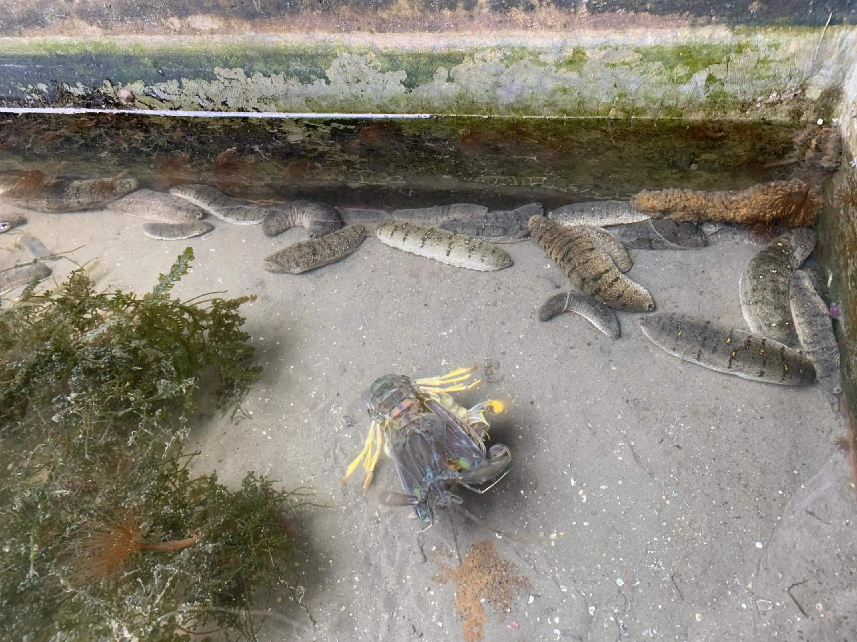 Nearby landmark in Horizon Beach Resort Koh Jum