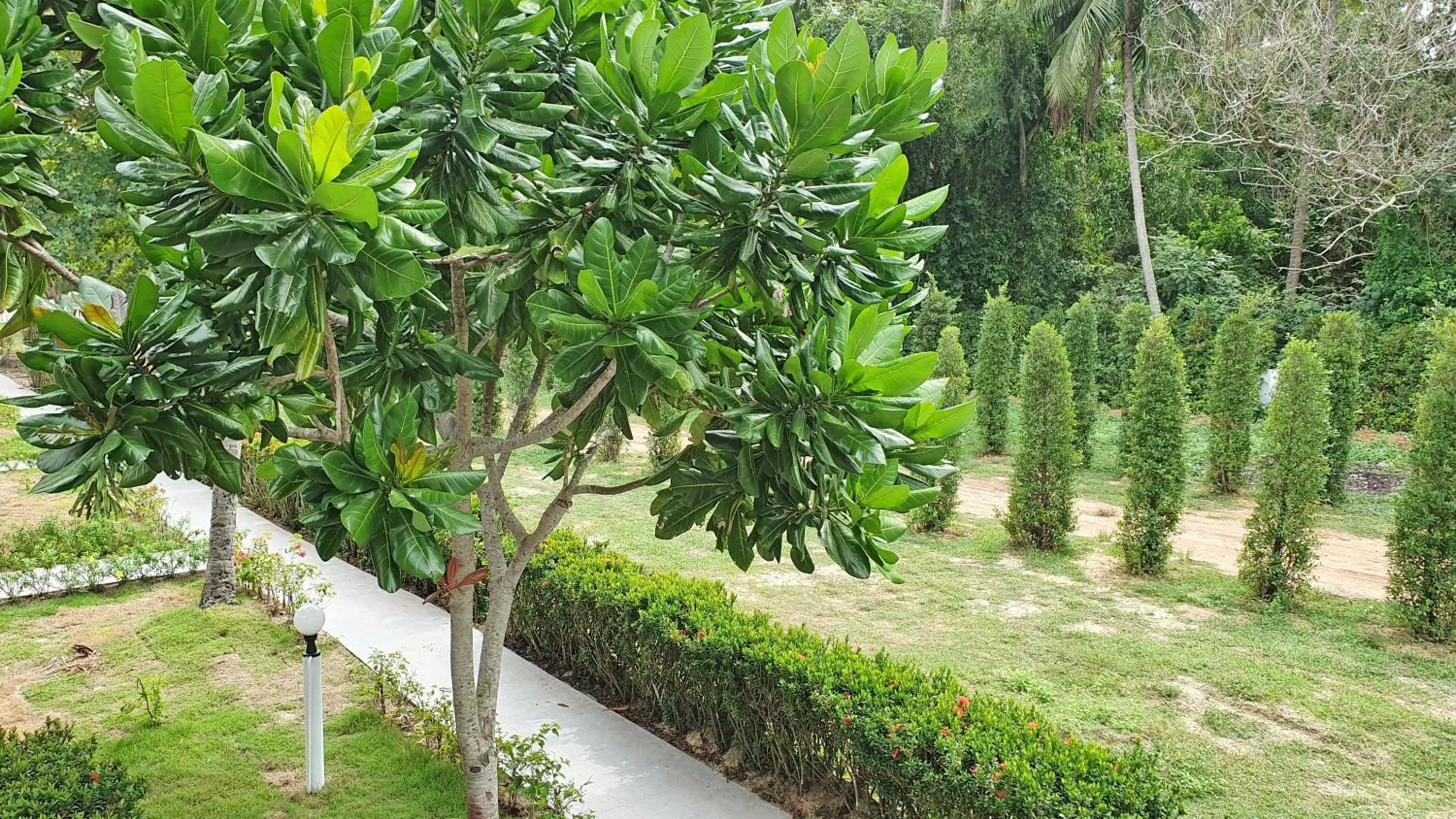 Garden view in Horizon Beach Resort Koh Jum