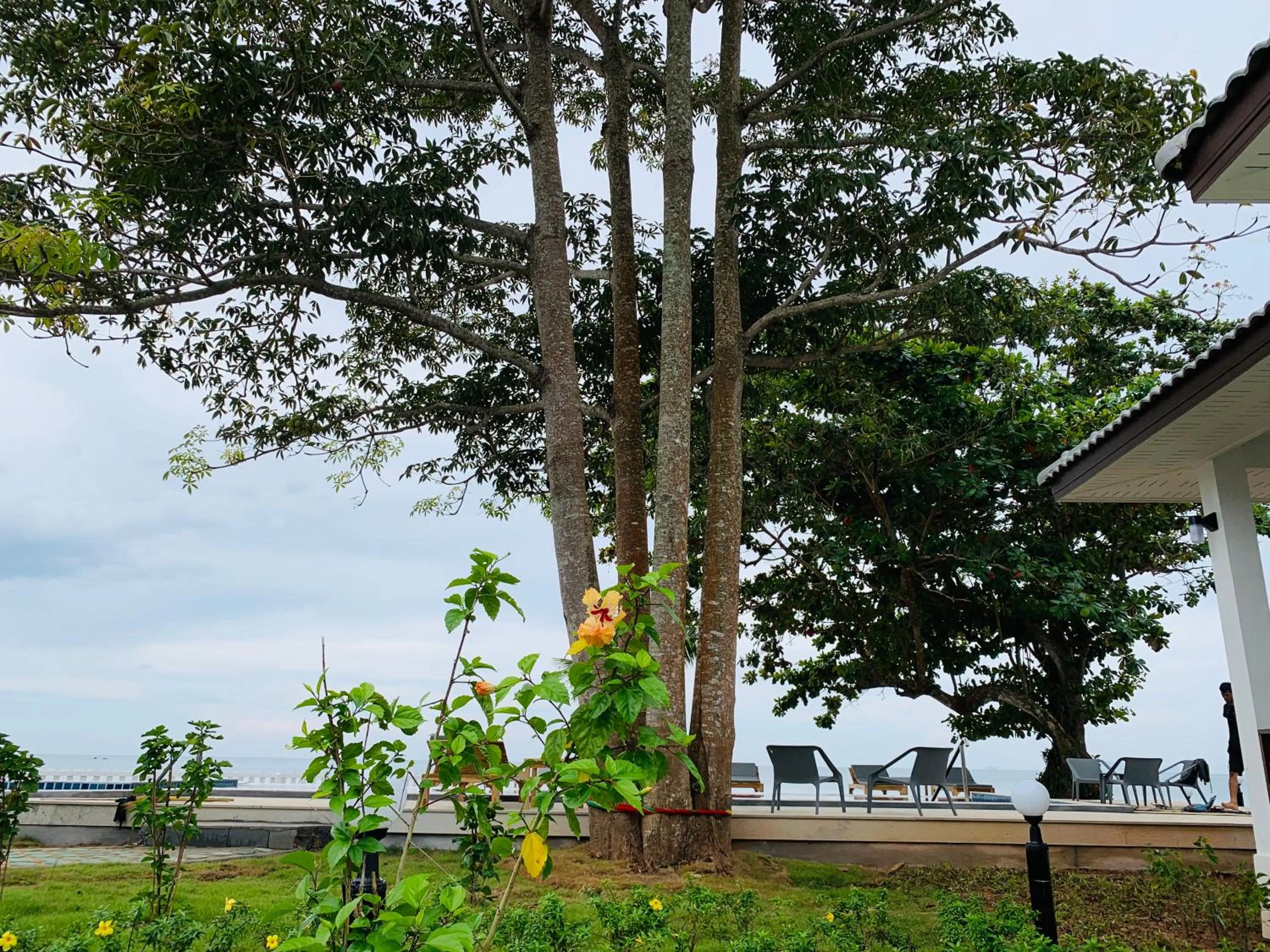 Sea view in Horizon Beach Resort Koh Jum