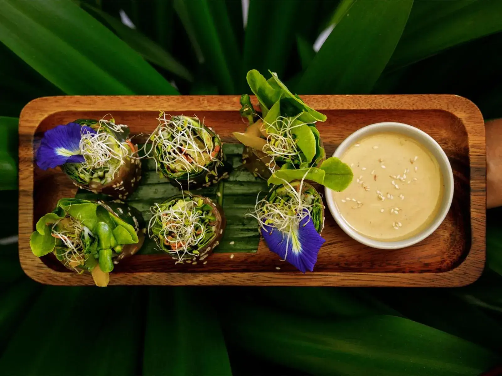 Restaurant/places to eat in CC's Hideaway Kata - SHA Plus Restaurant/places to eat in CC's Hideaway Kata - SHA Plus