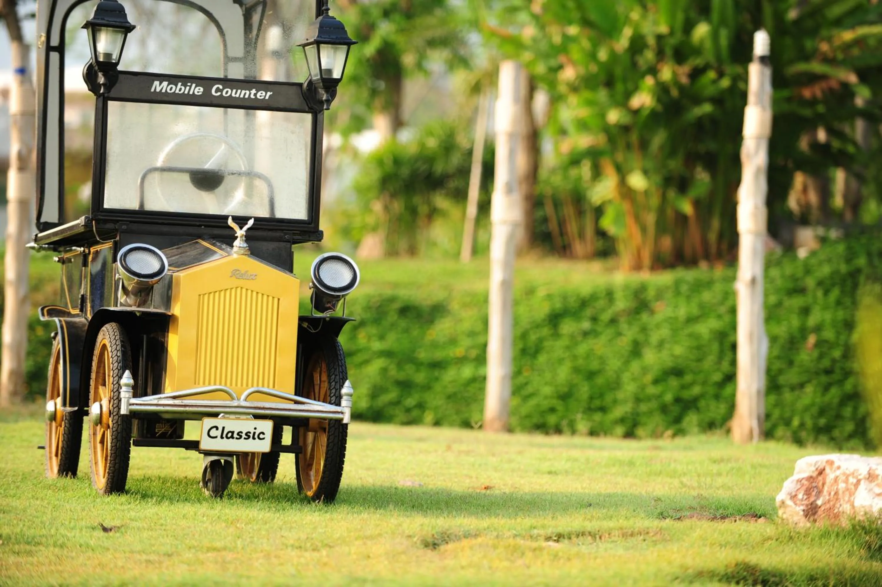Natural landscape in Aurora Resort Khao Yai