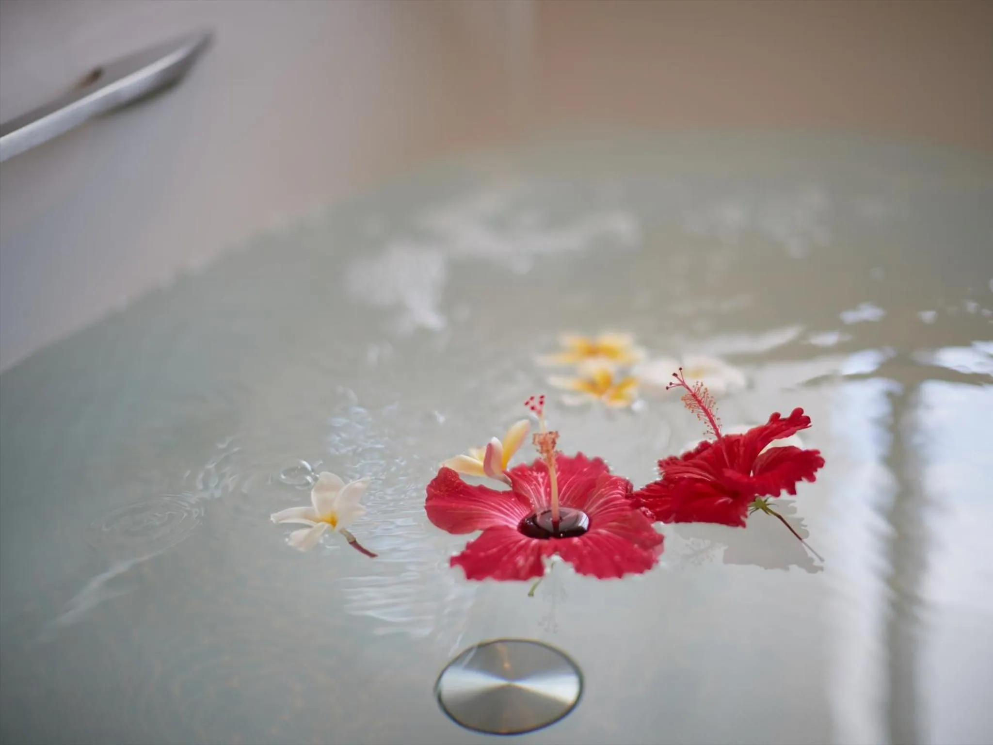 Bathroom in Condominium NOOSA