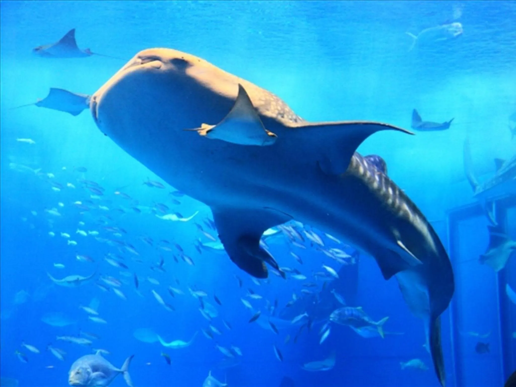 Nearby landmark in Condominium NOOSA