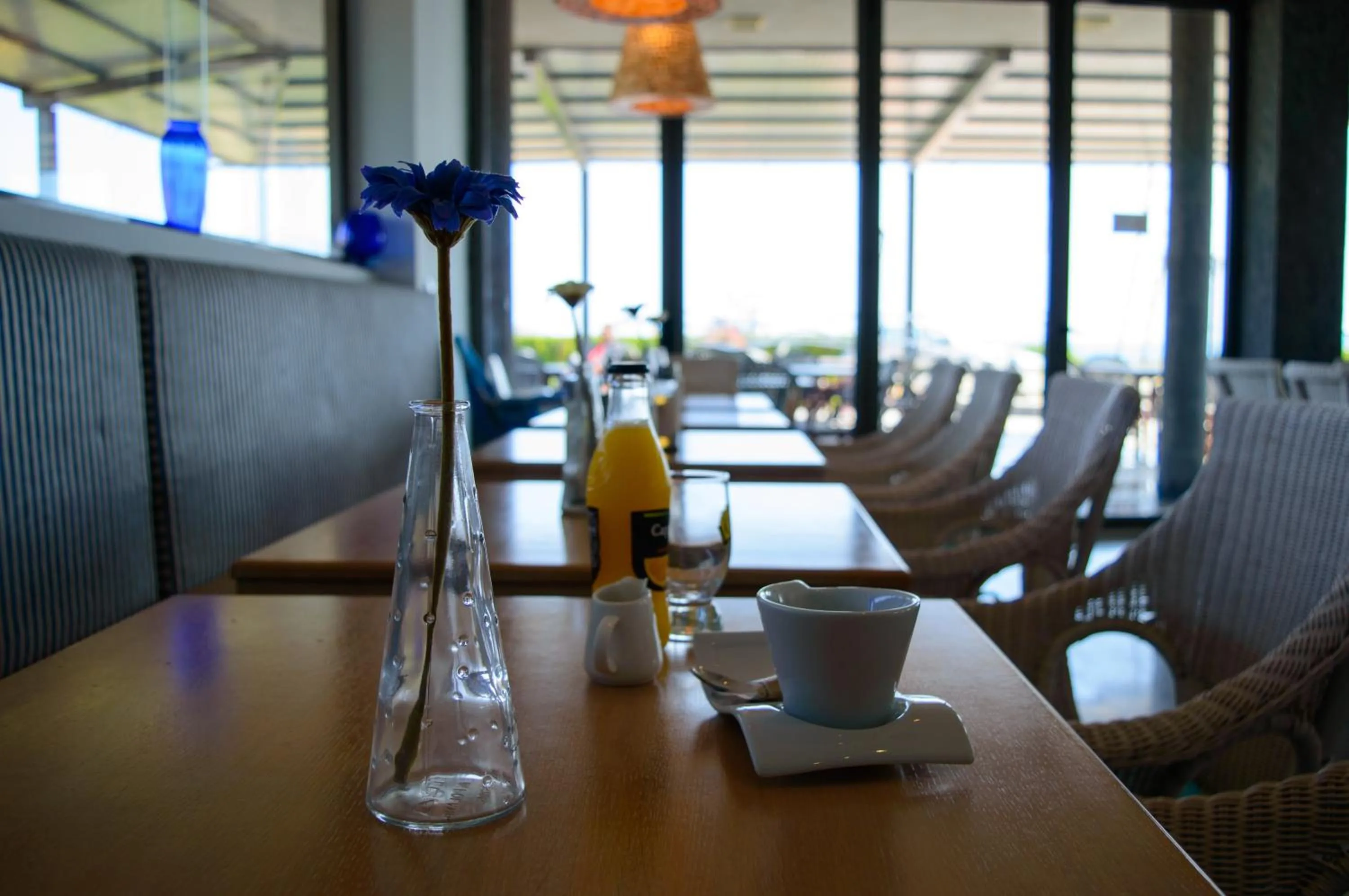 Restaurant/places to eat in South Pearl