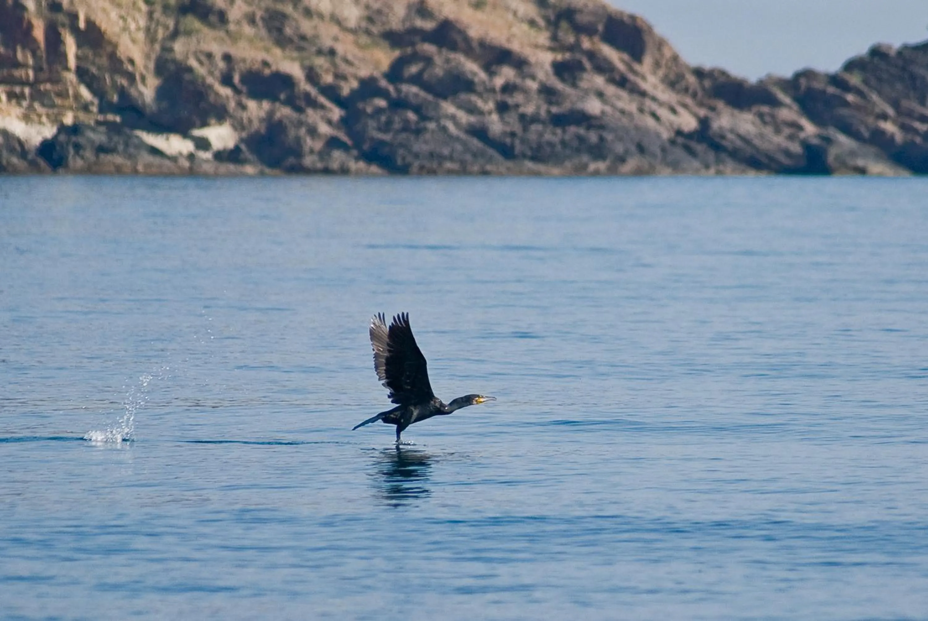 Area and facilities in South Pearl