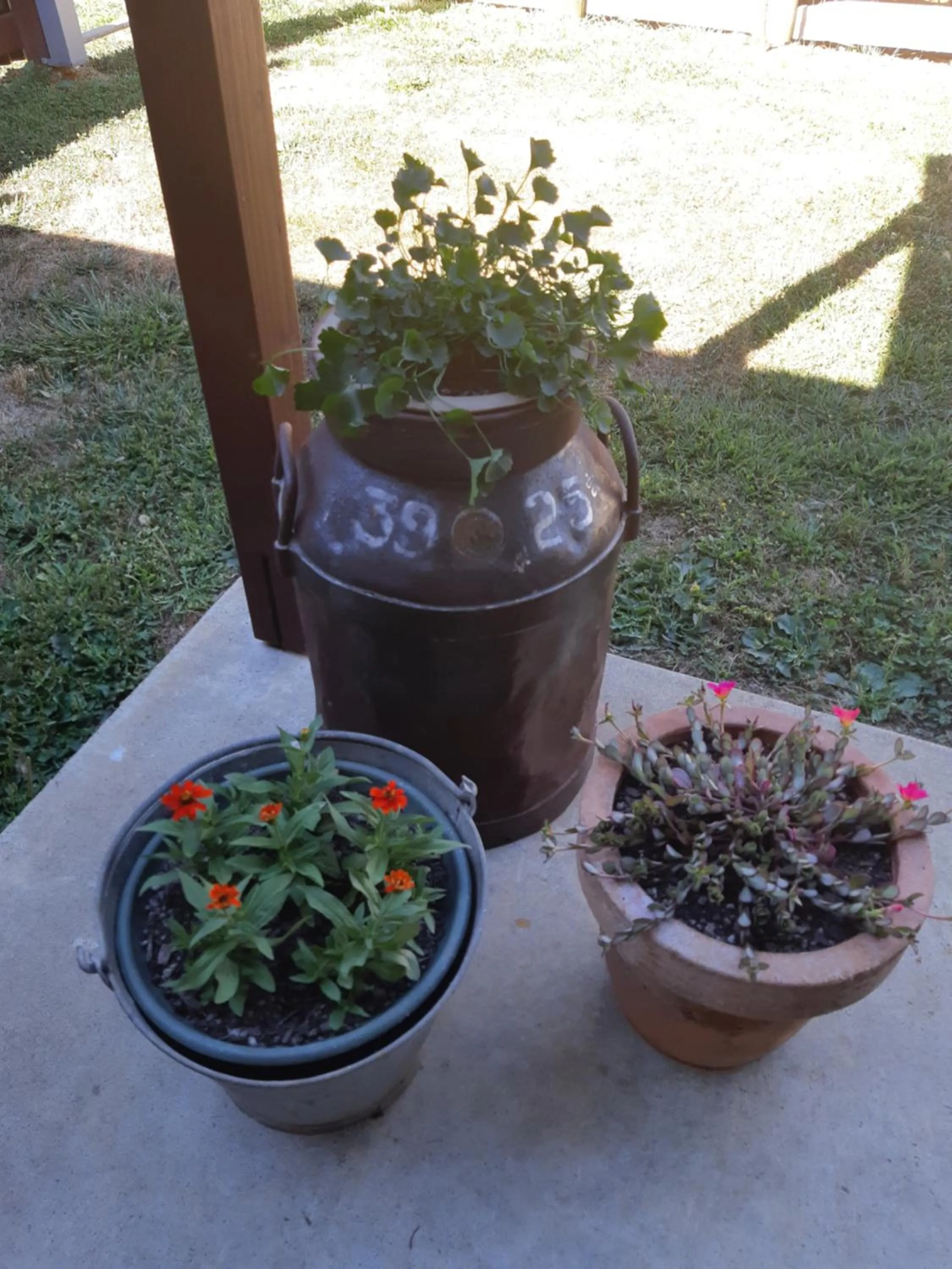 Balcony/Terrace in The End Lounge B&B