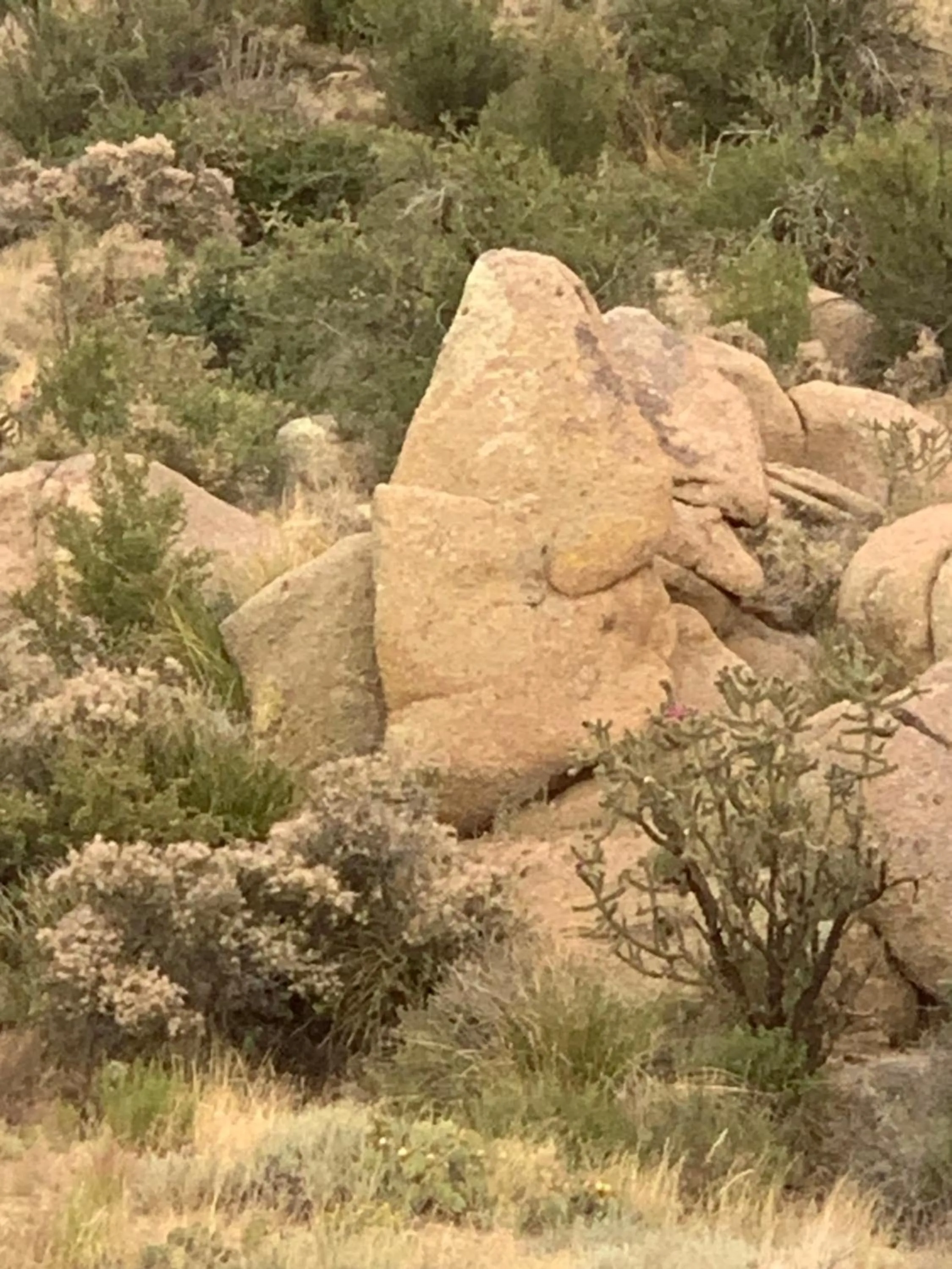 Hiking in Quality Inn Rio Rancho - Albuquerque North Valley