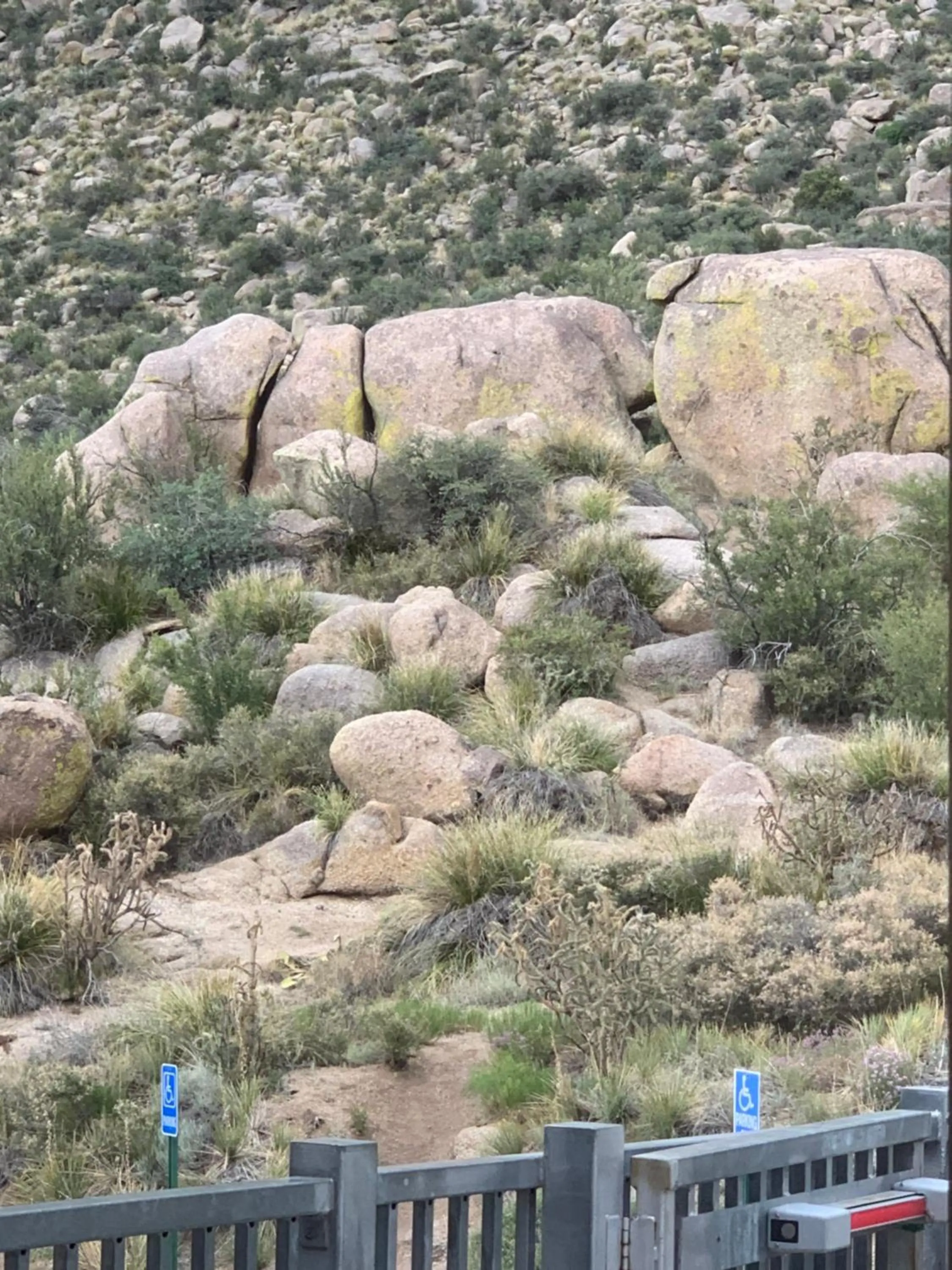 Hiking in Quality Inn Rio Rancho - Albuquerque North Valley