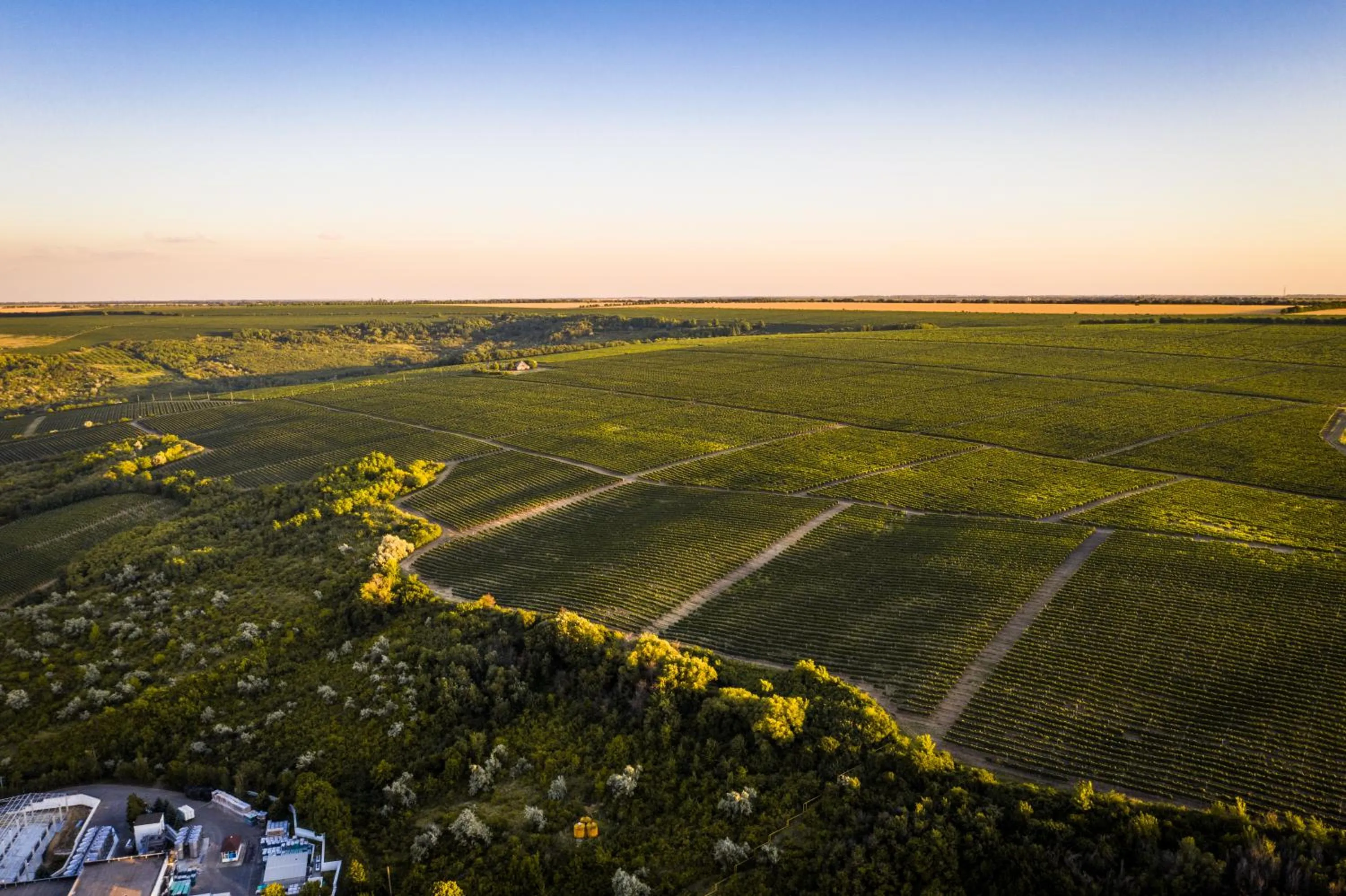 Natural landscape in Chateau Purcari