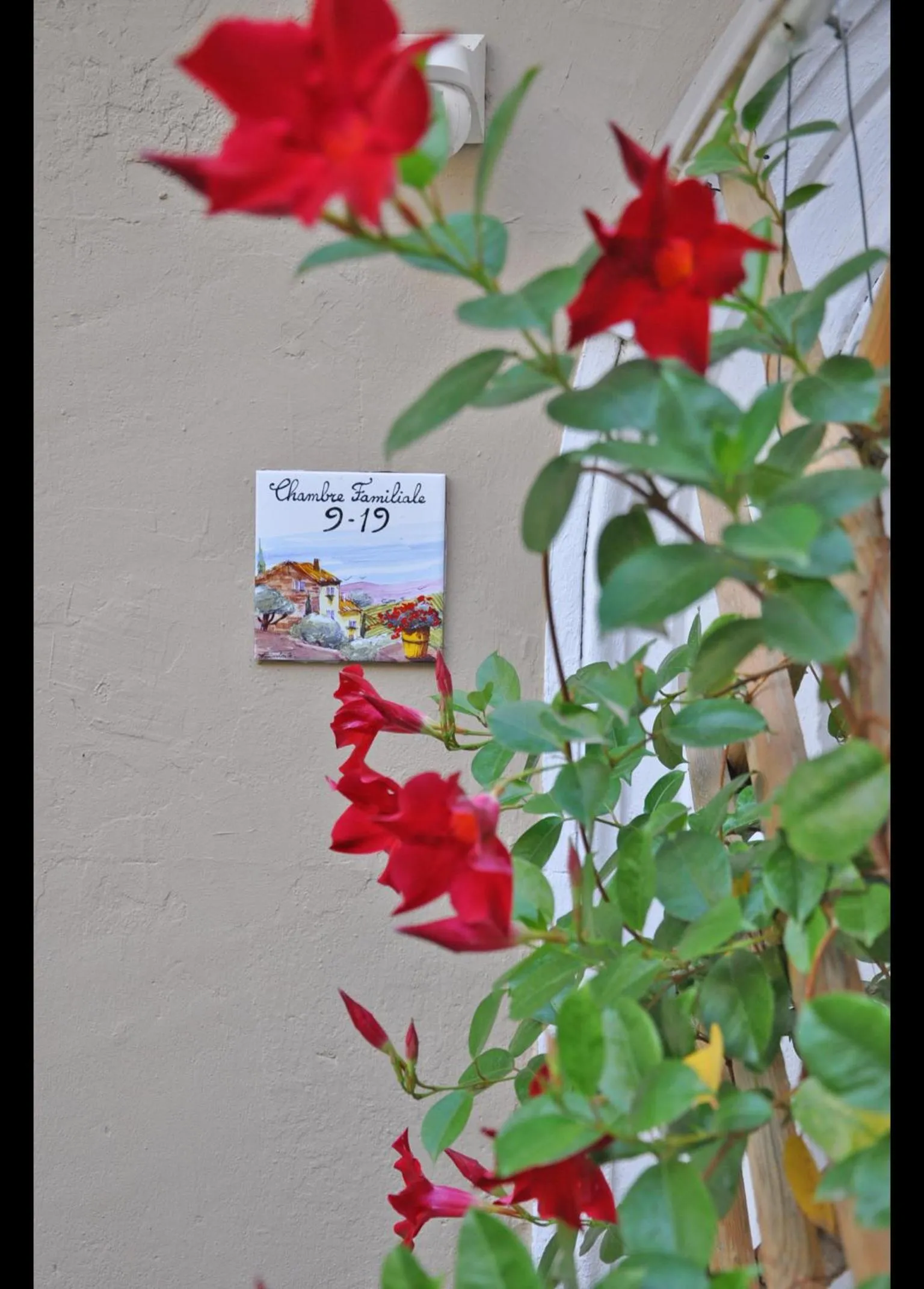 Patio in Hôtel Select