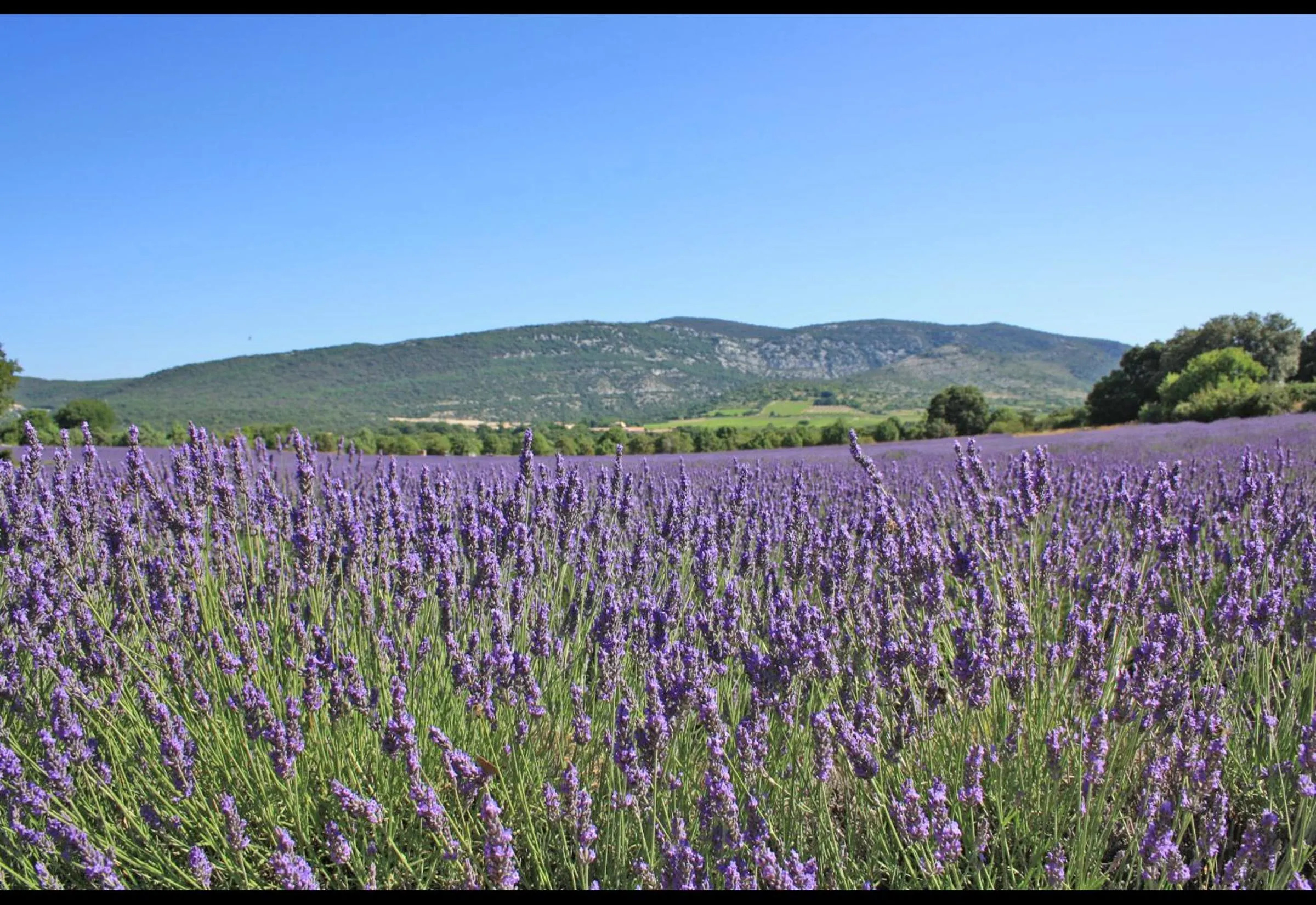 Nearby landmark in Hôtel Select