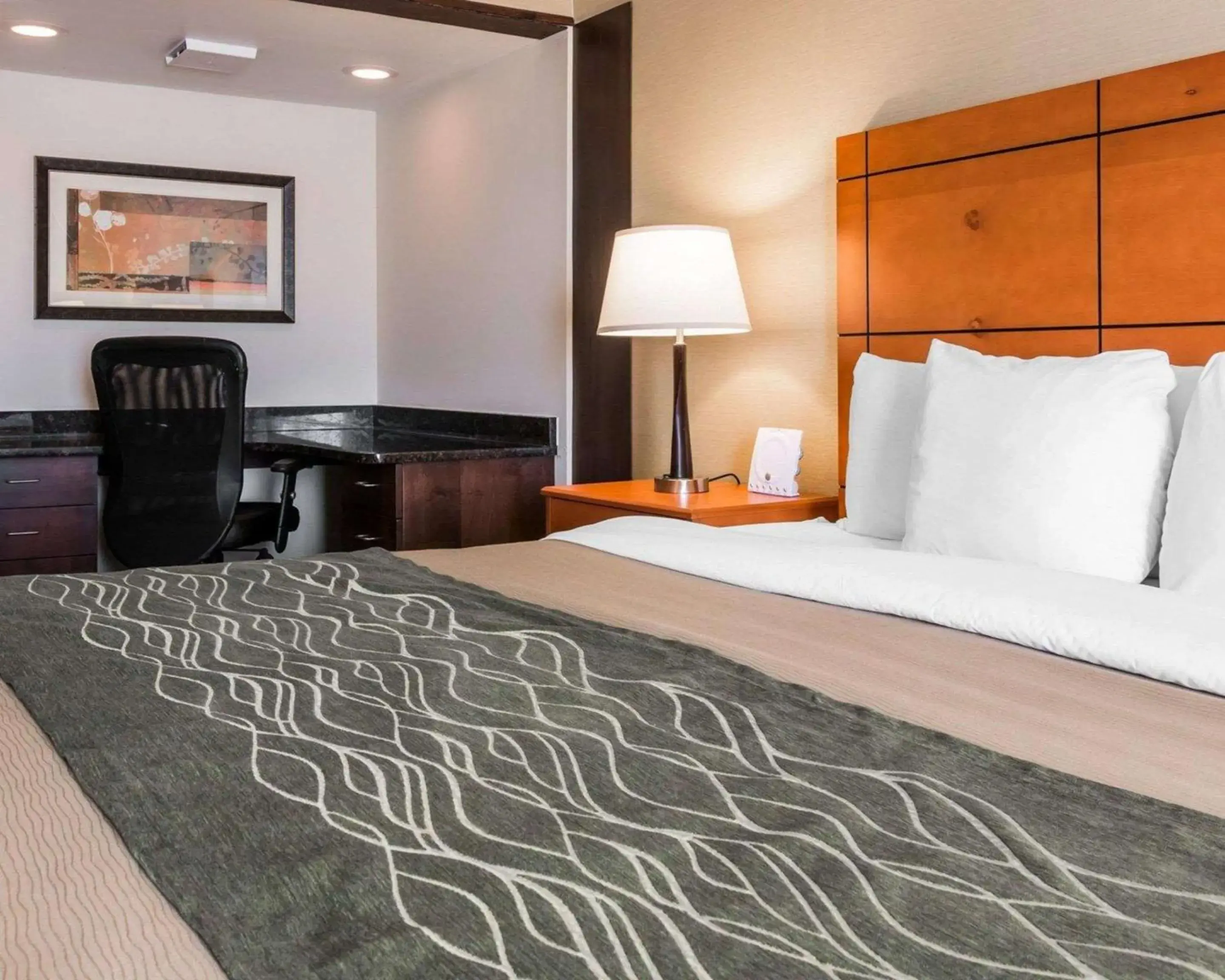 Executive King Room - Non-Smoking in Comfort Inn Metro Airport Executive King Room - Non-Smoking in Comfort Inn Metro Airport