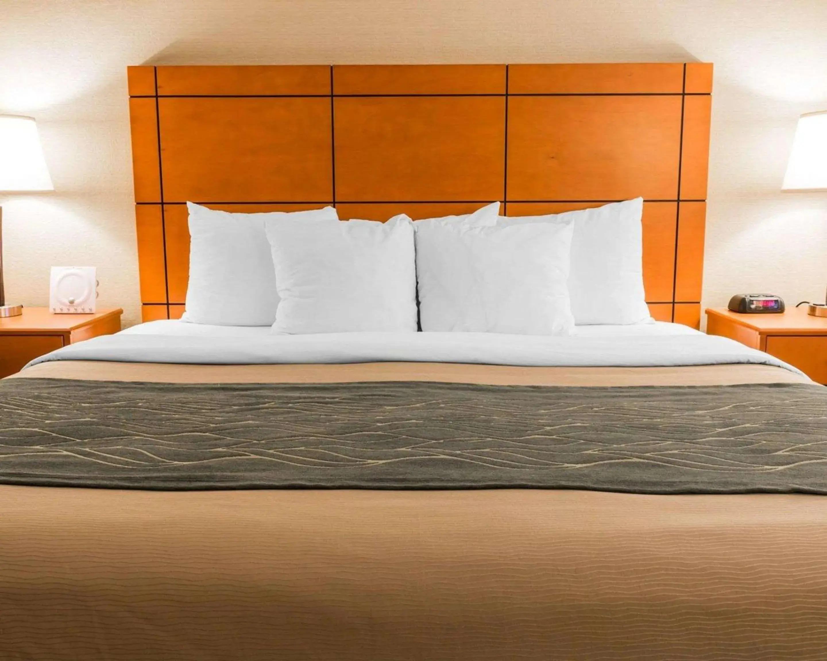 Deluxe King Room in Comfort Inn Metro Airport Deluxe King Room in Comfort Inn Metro Airport