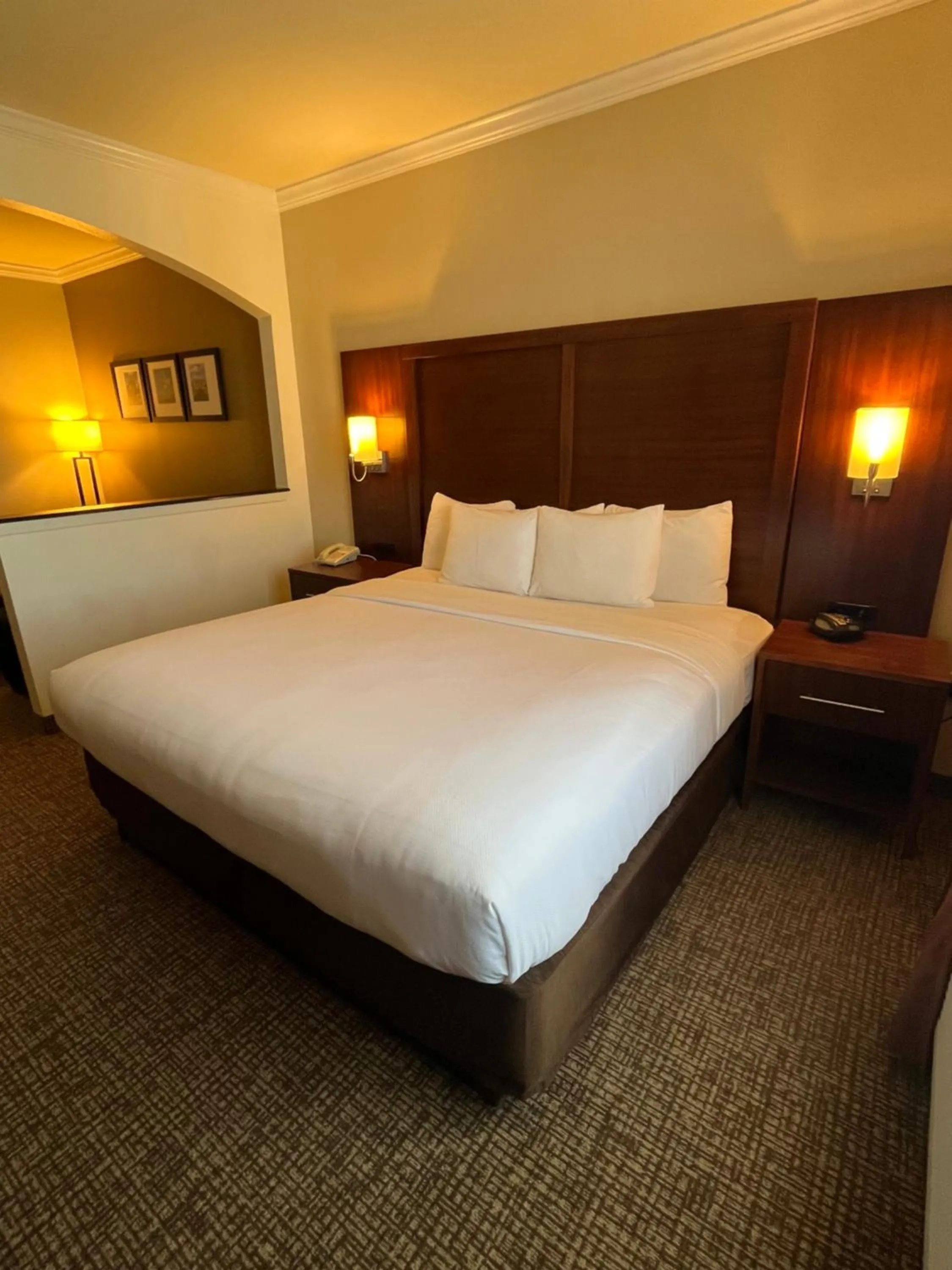 Bed in Comfort Suites Texas Ave