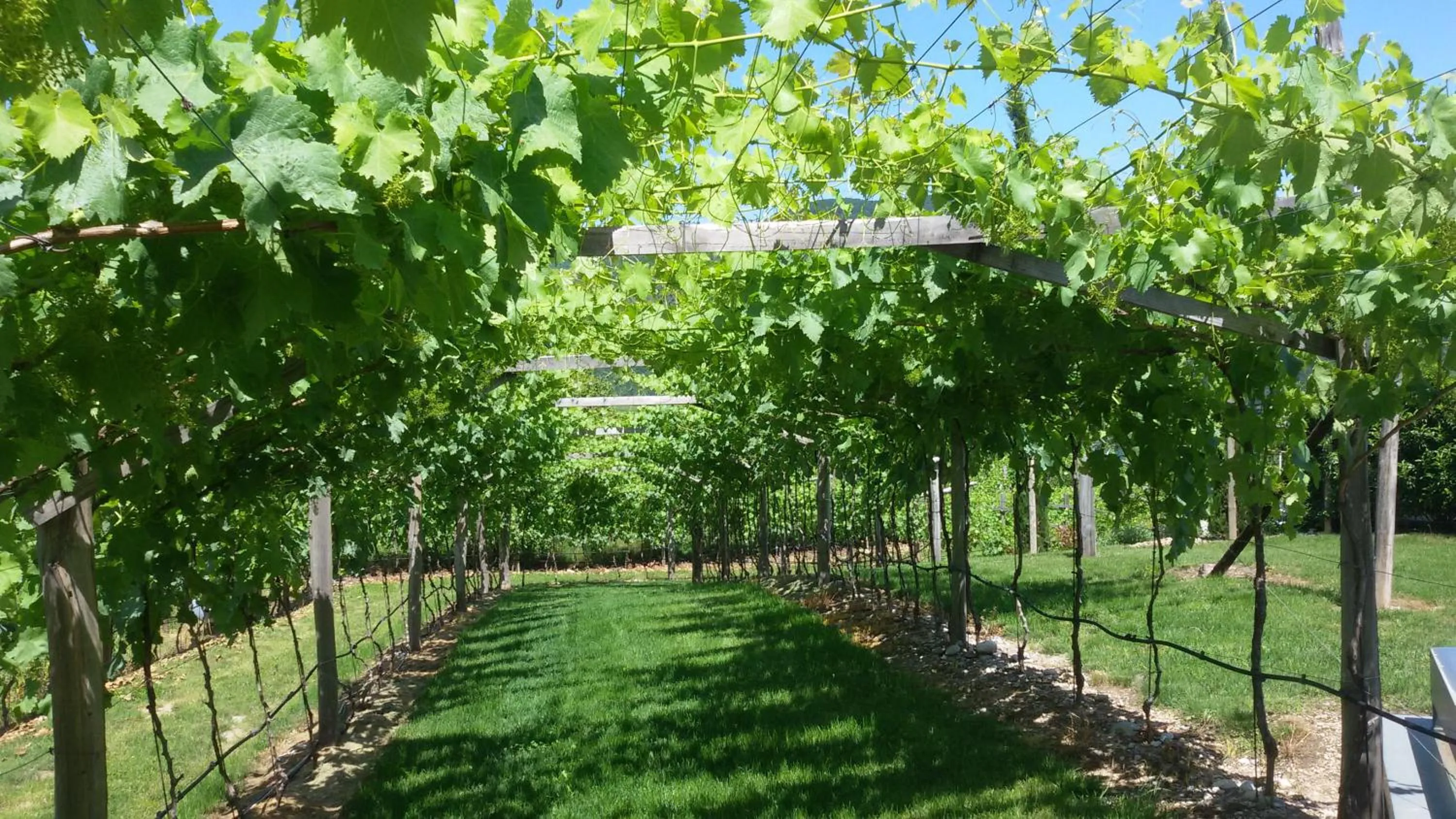 Natural landscape in Hotel Hasslhof