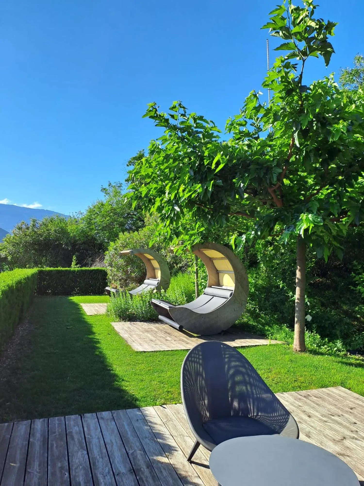 Swimming pool in Hotel Hasslhof