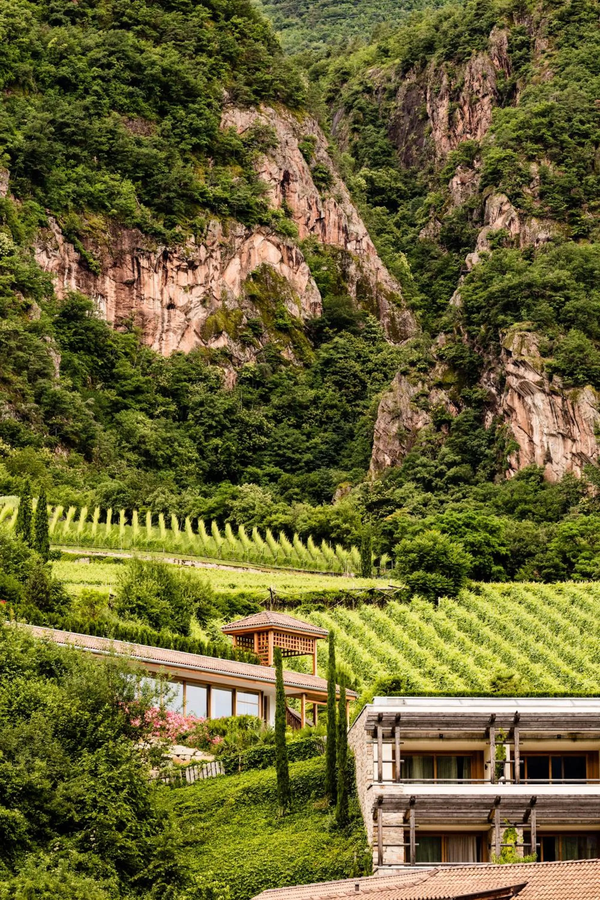 Mountain view in Hotel Hasslhof