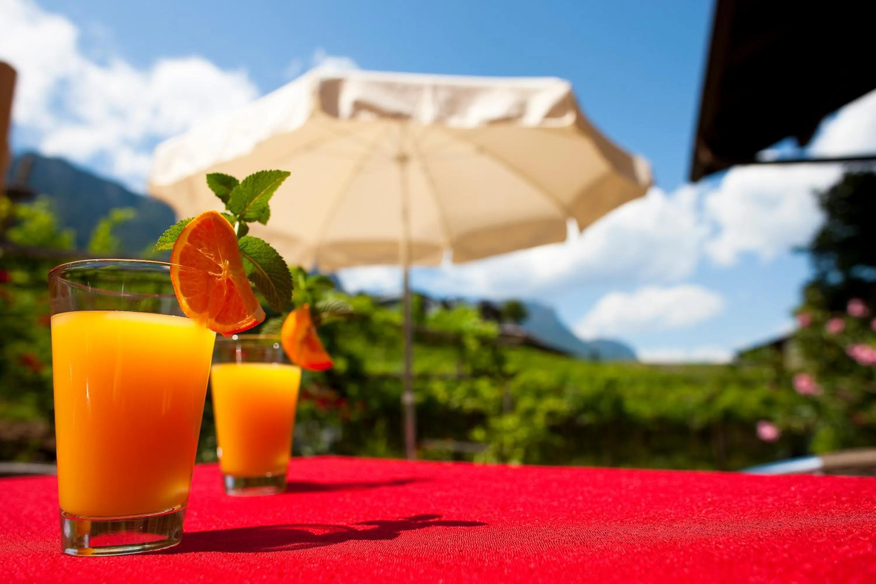 Food and drinks in Hotel Hasslhof