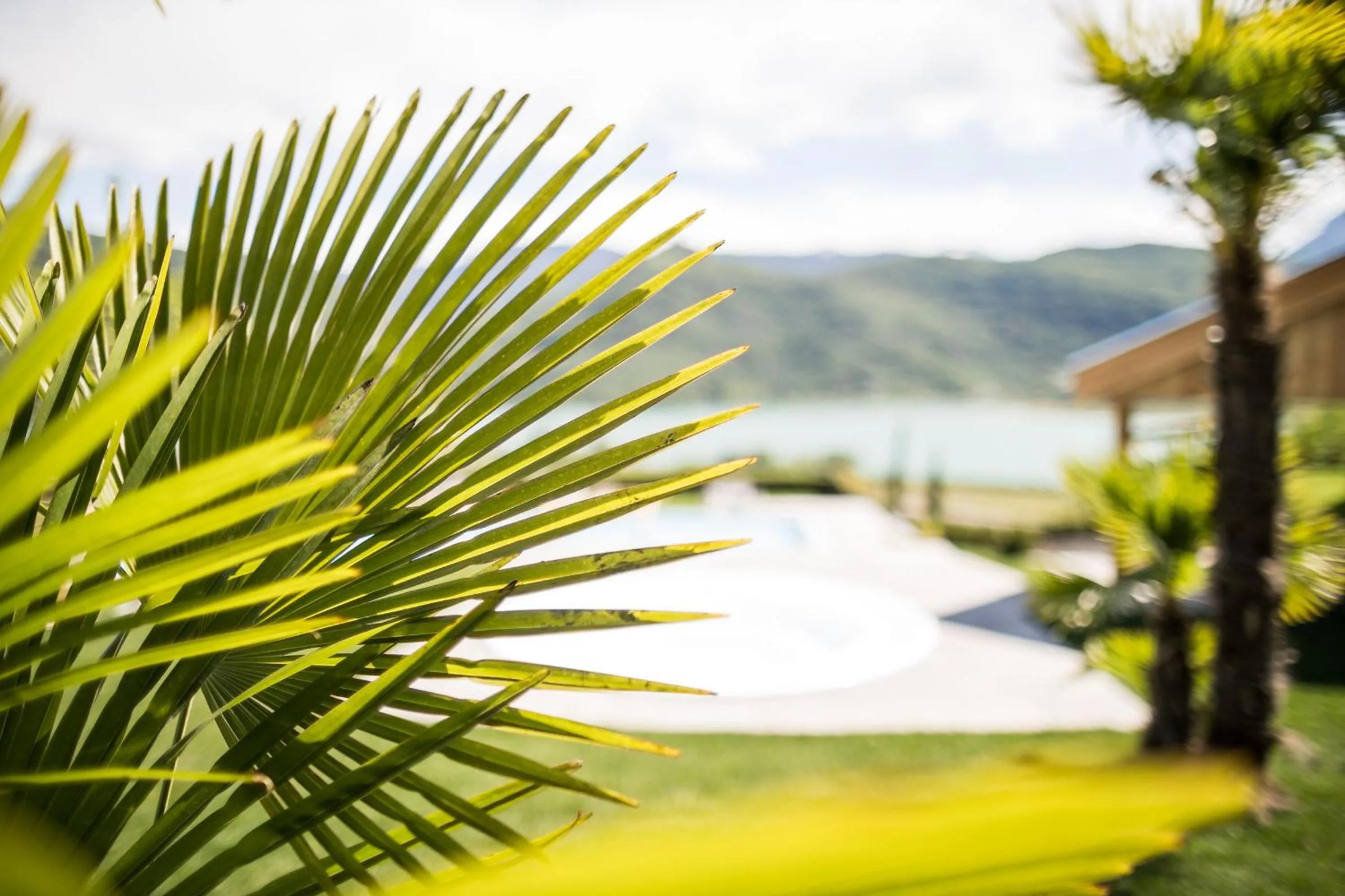 Garden in Hotel Hasslhof