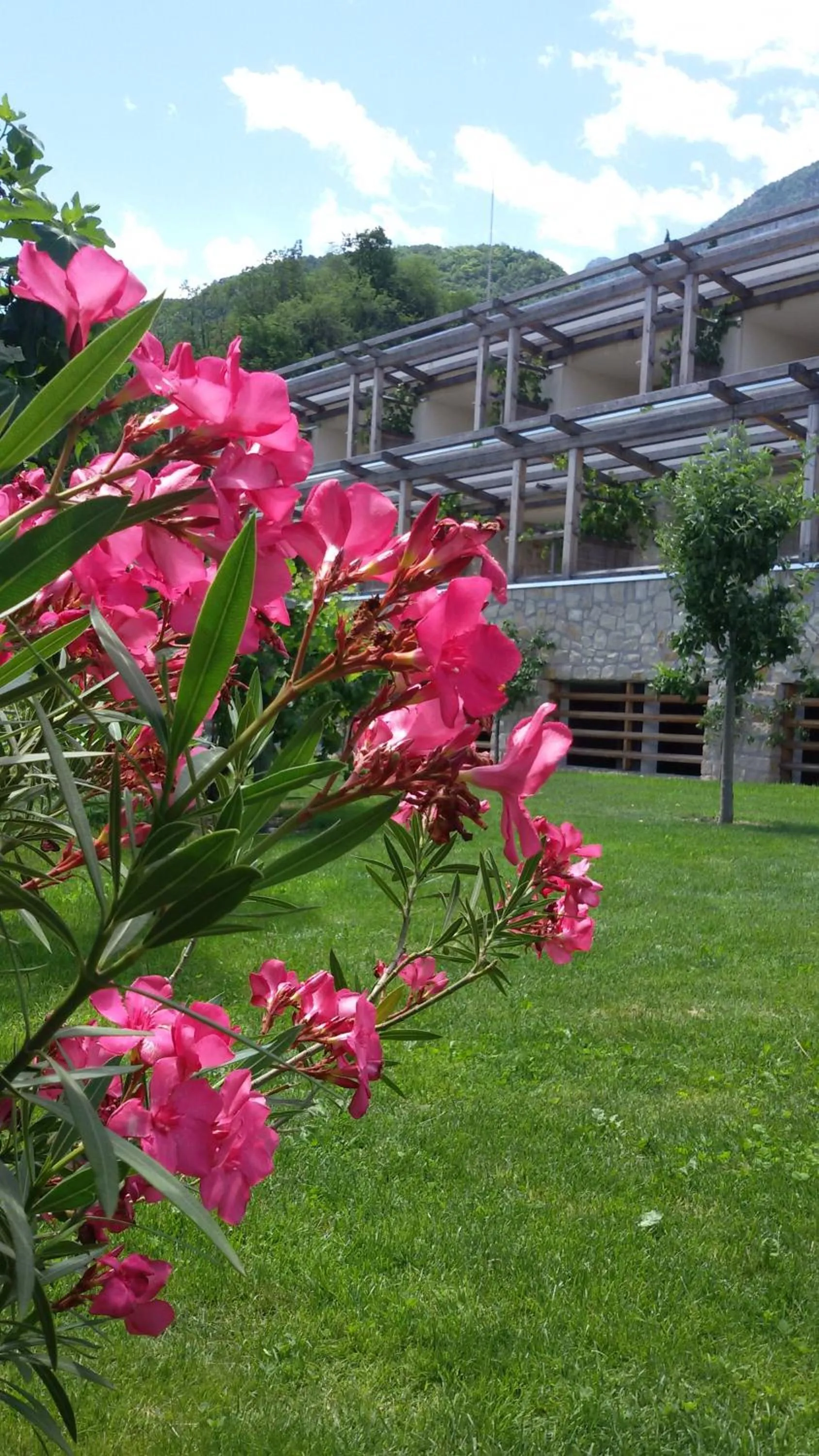 Facade/entrance in Hotel Hasslhof