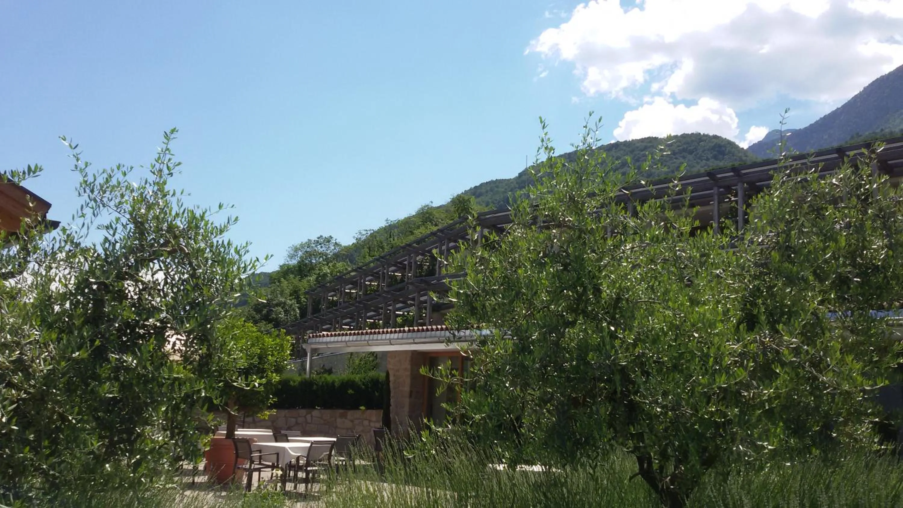 Property building in Hotel Hasslhof