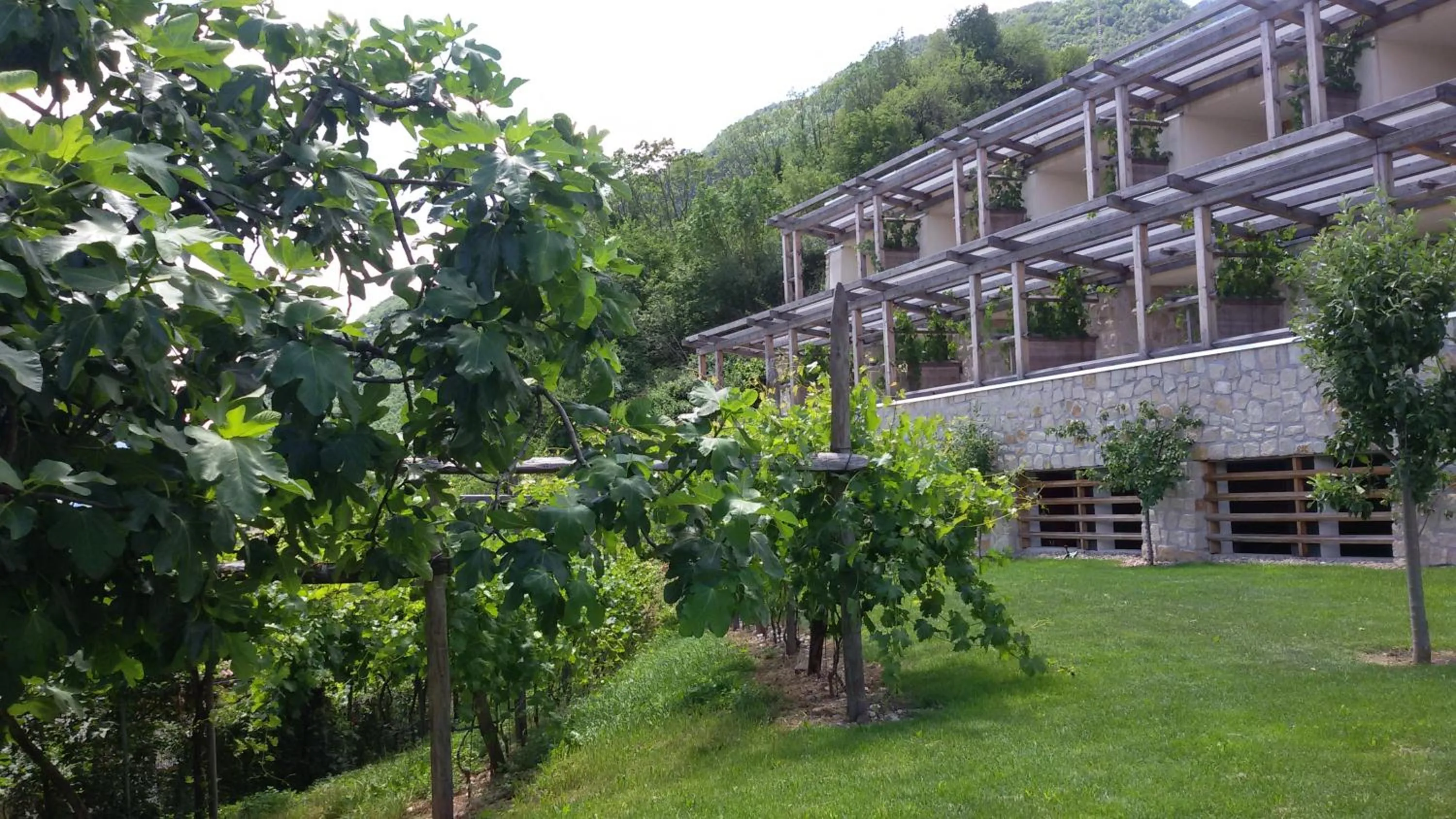 Property building in Hotel Hasslhof