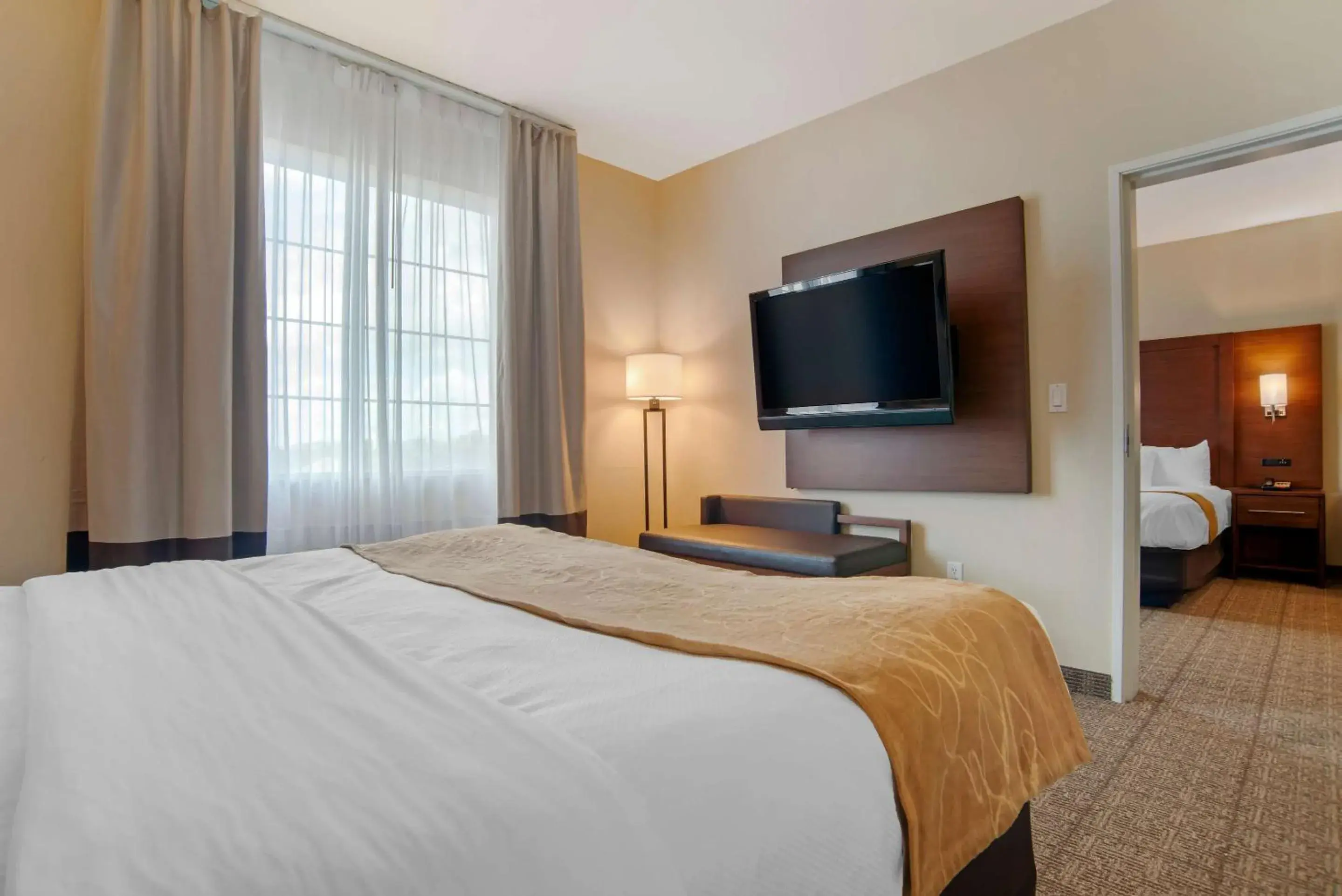 Bedroom, Bed in Comfort Suites Alexandria North Bedroom, Bed in Comfort Suites Alexandria North