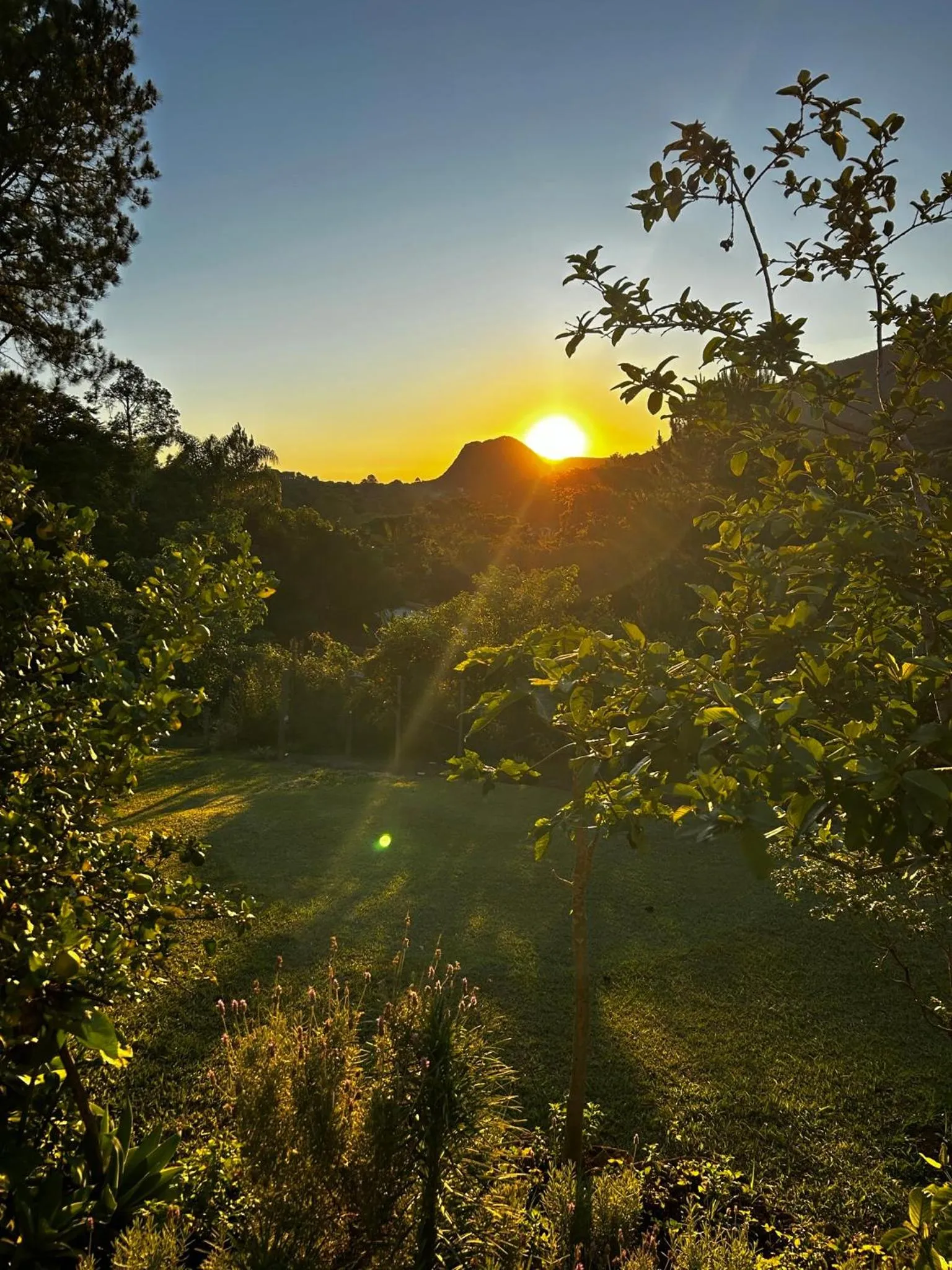 Spring in Segredo da Serra Guest House