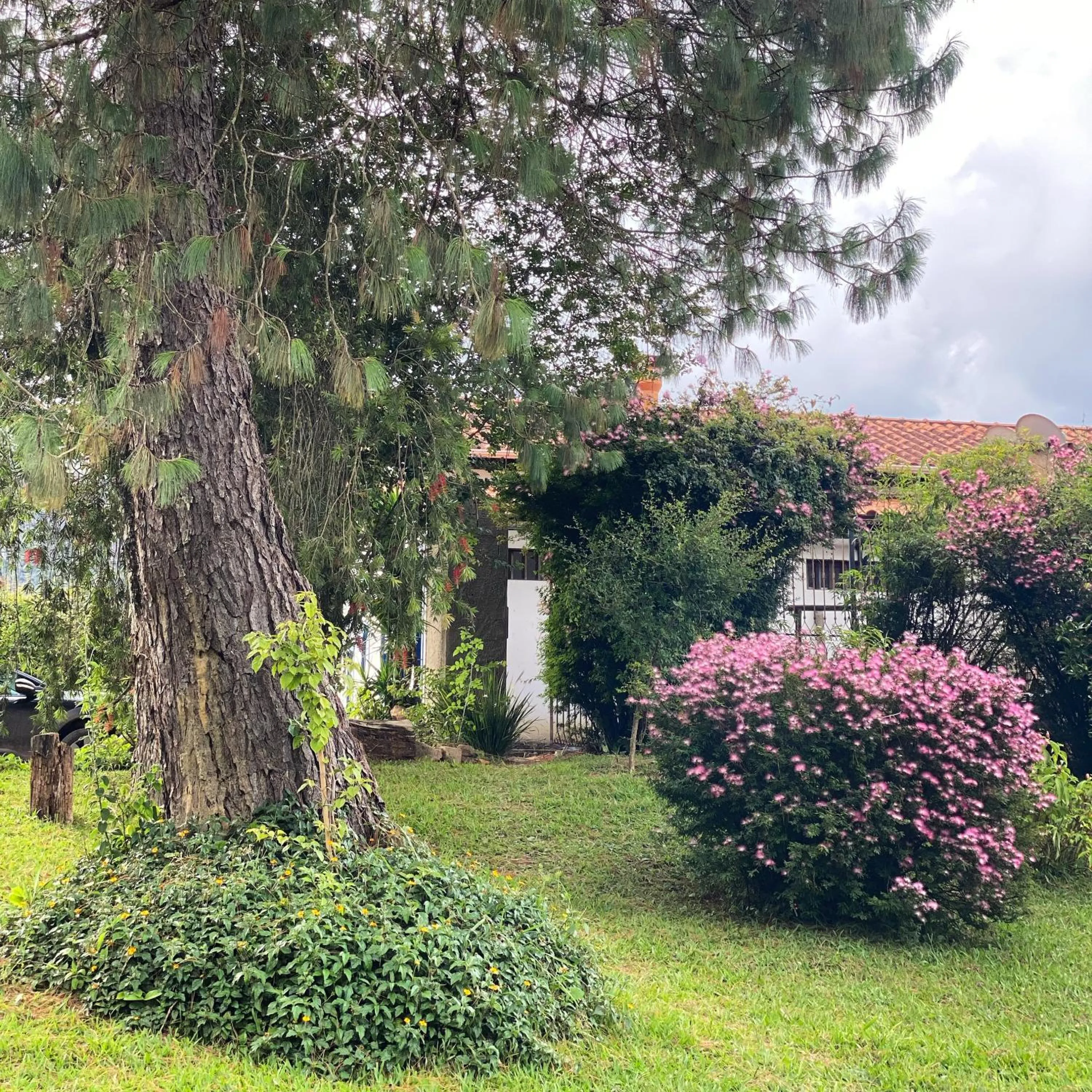 Property building in Segredo da Serra Guest House