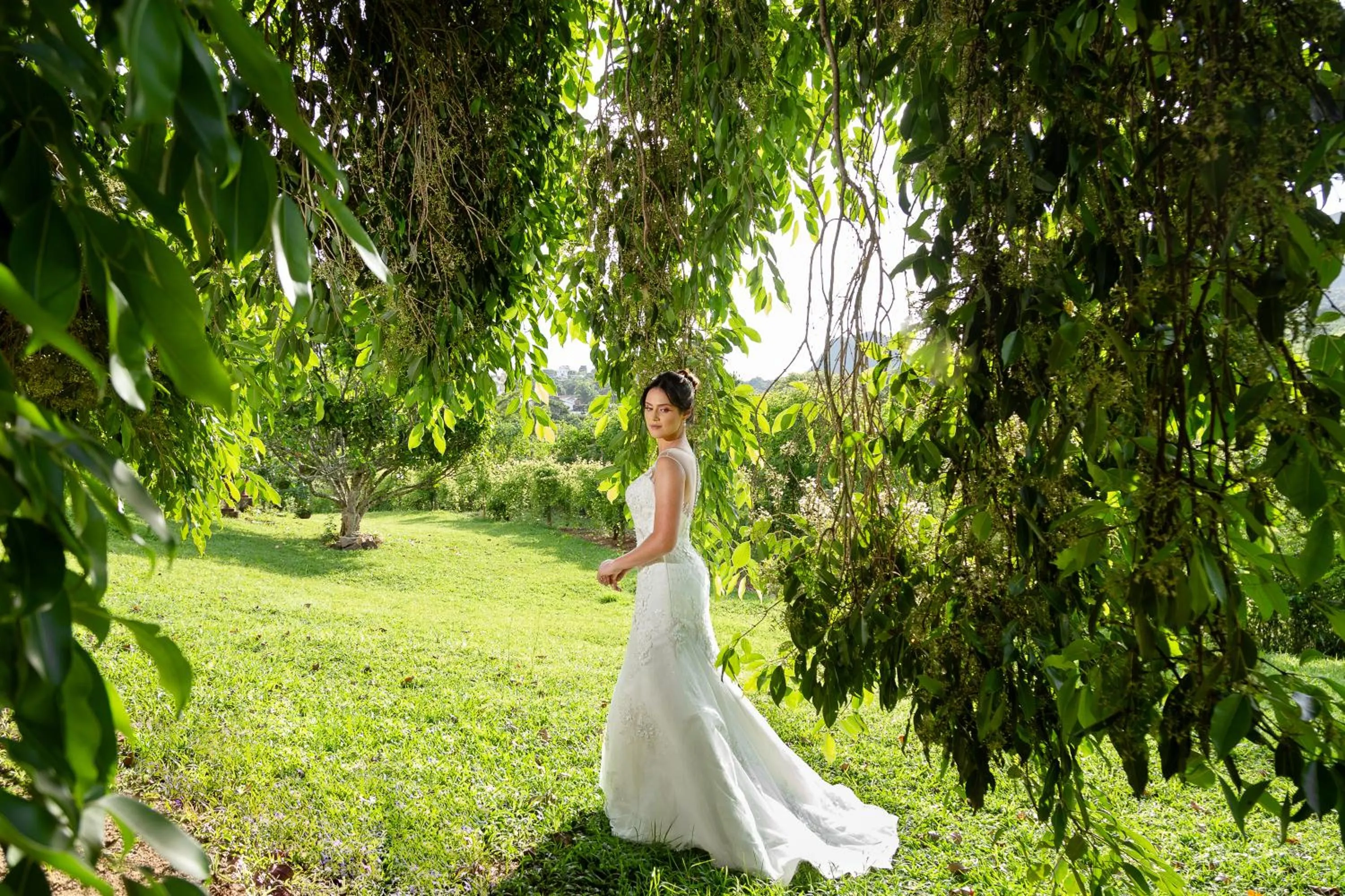 Spring in Segredo da Serra Guest House