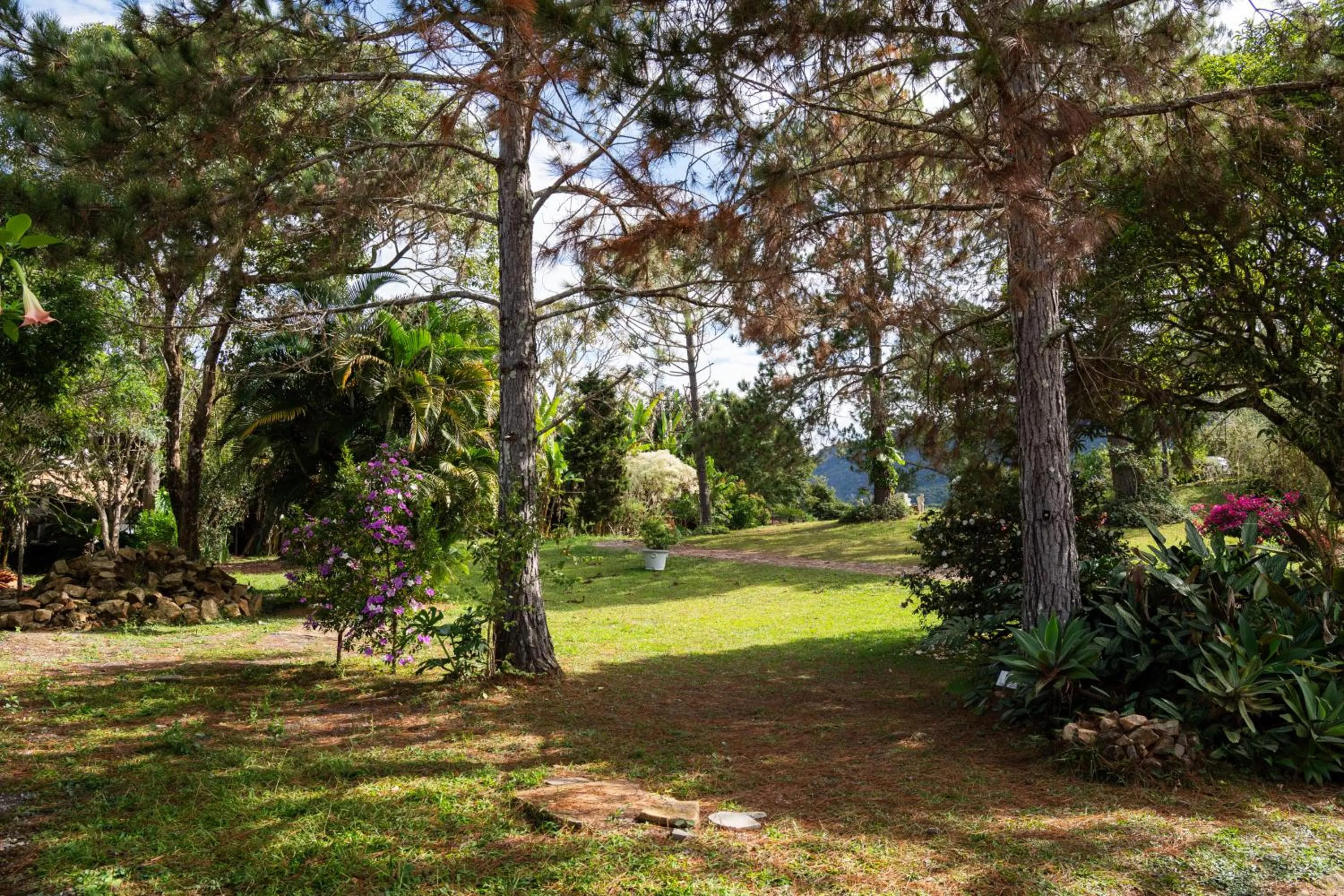 Day in Segredo da Serra Guest House