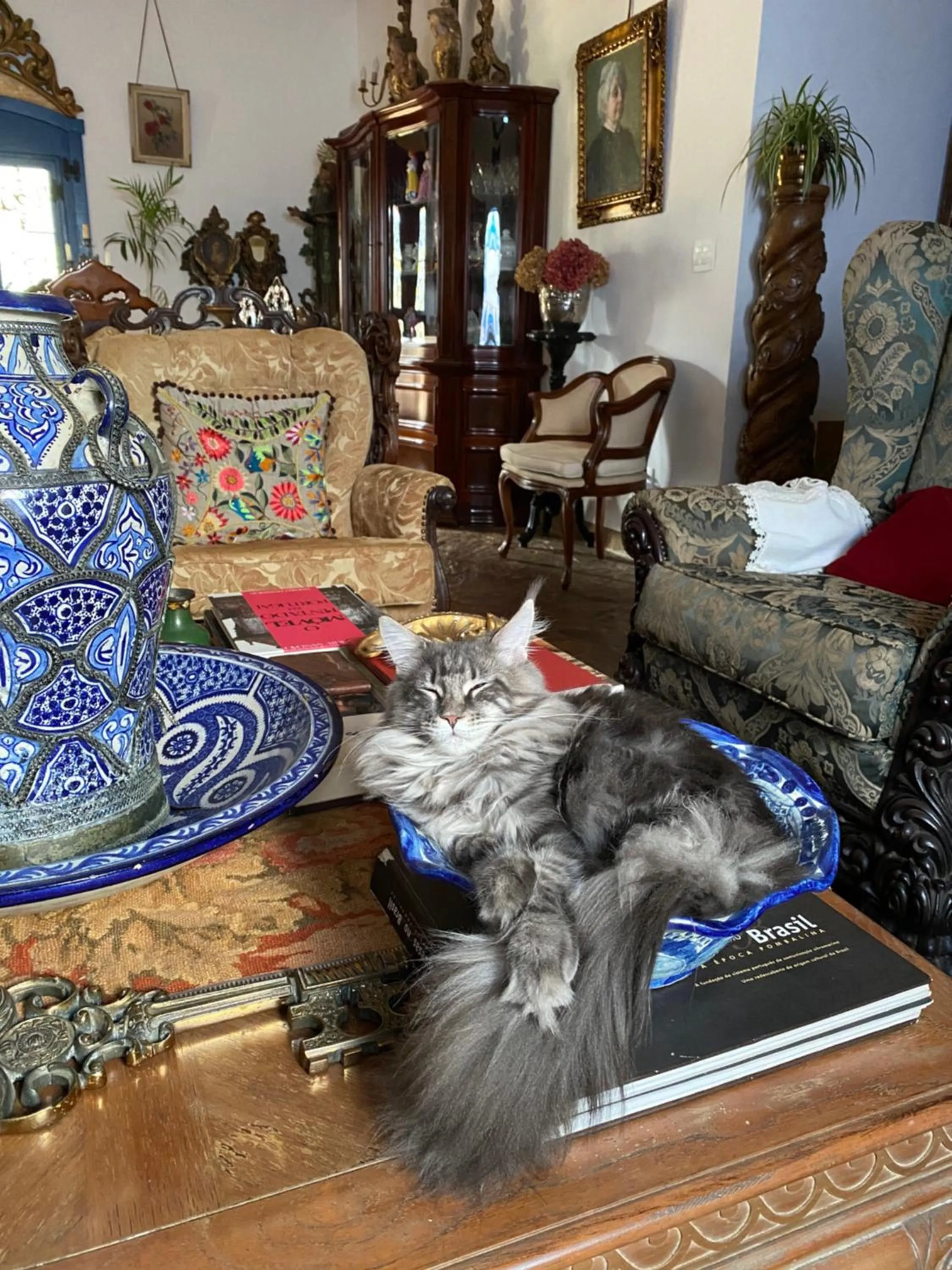 Communal lounge/ TV room in Segredo da Serra Guest House