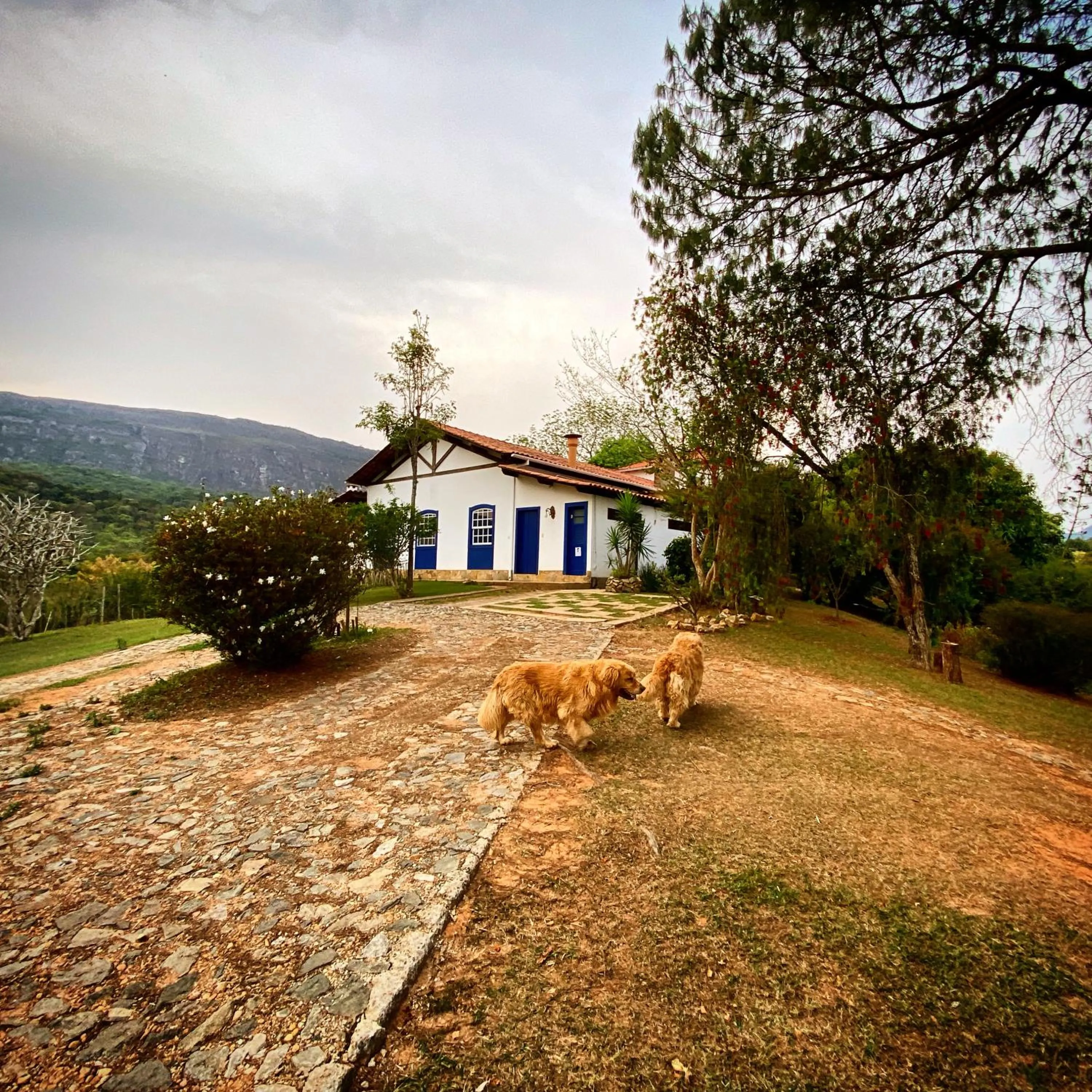 Property building in Segredo da Serra Guest House