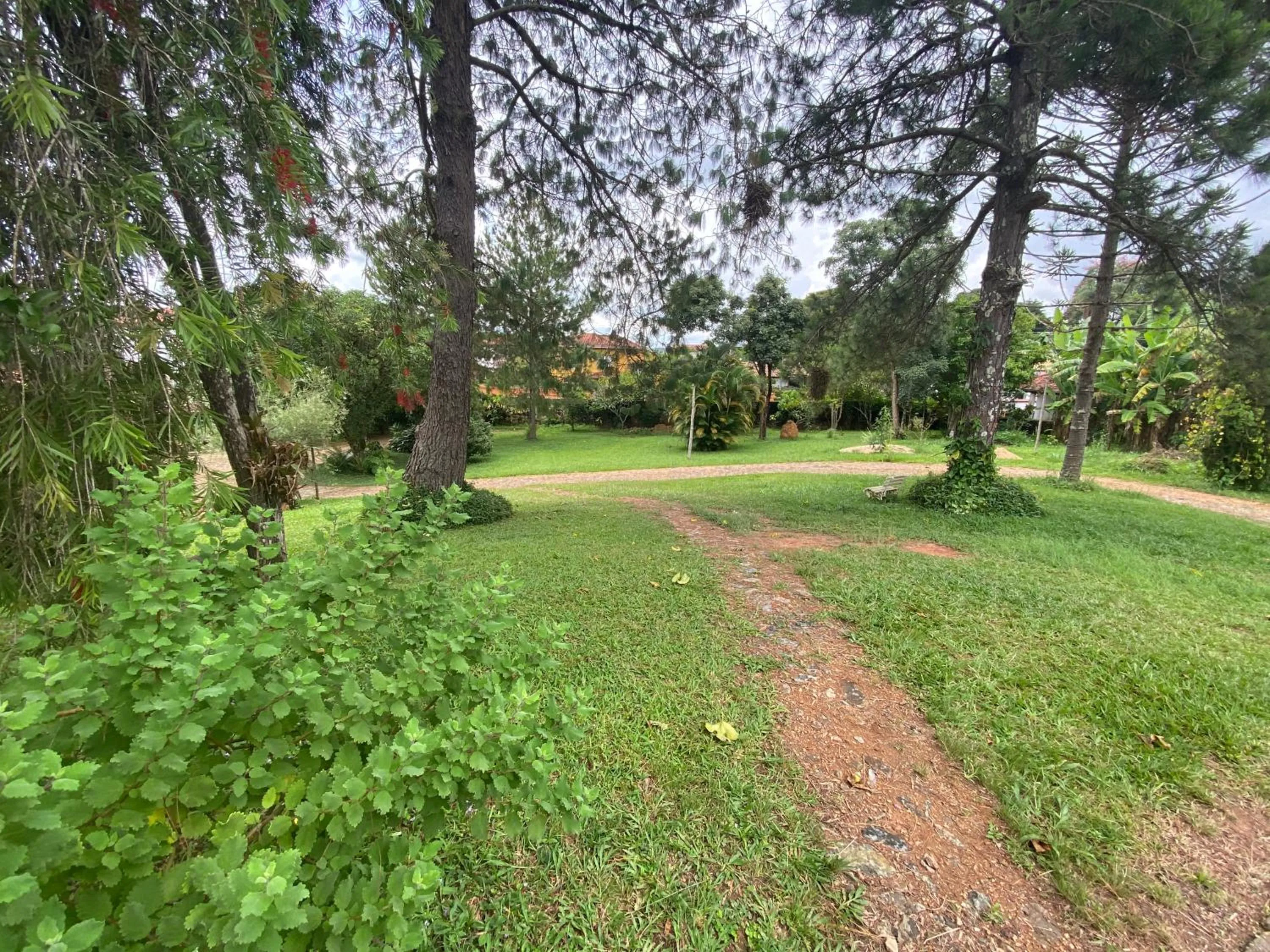 Spring in Segredo da Serra Guest House