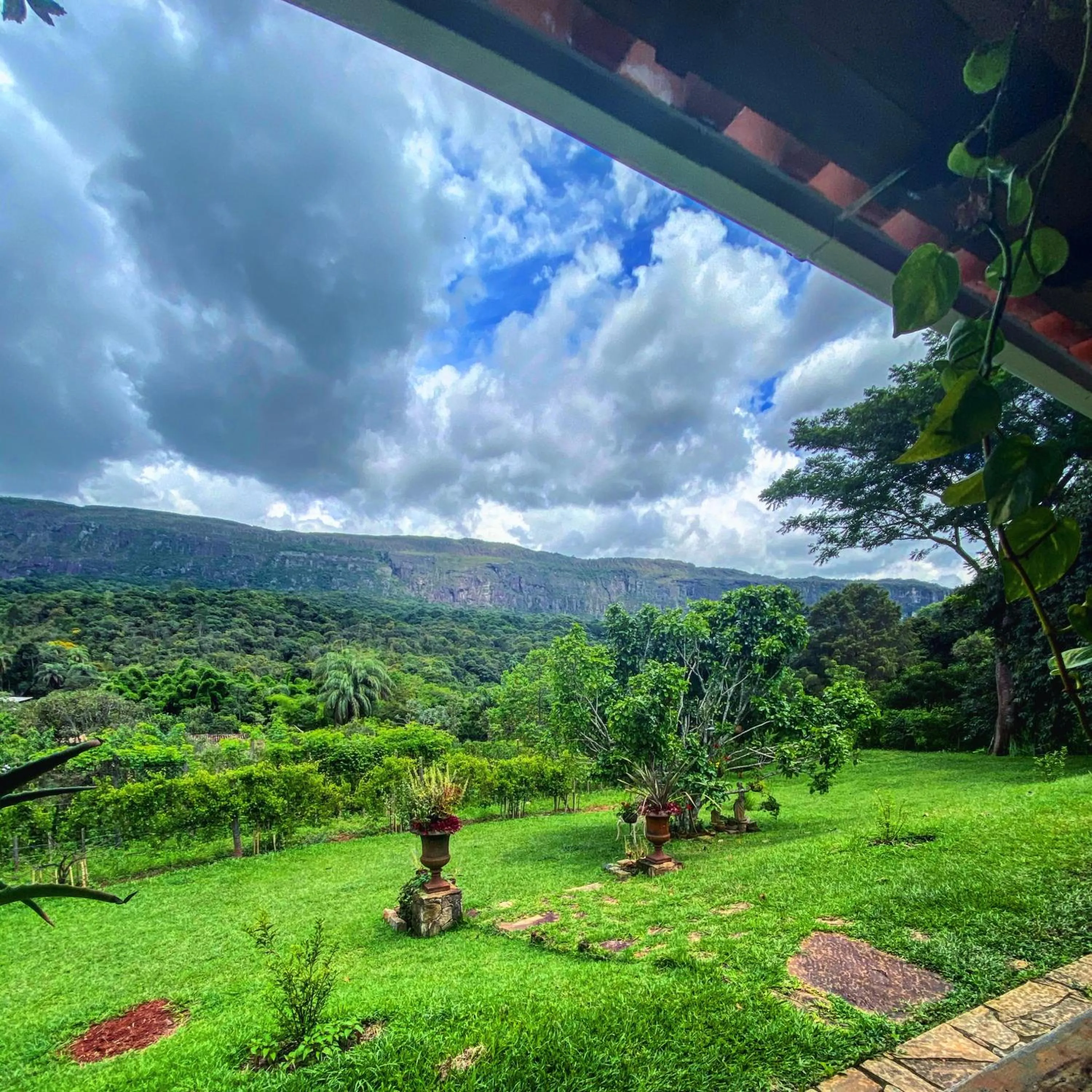 Restaurant/places to eat in Segredo da Serra Guest House