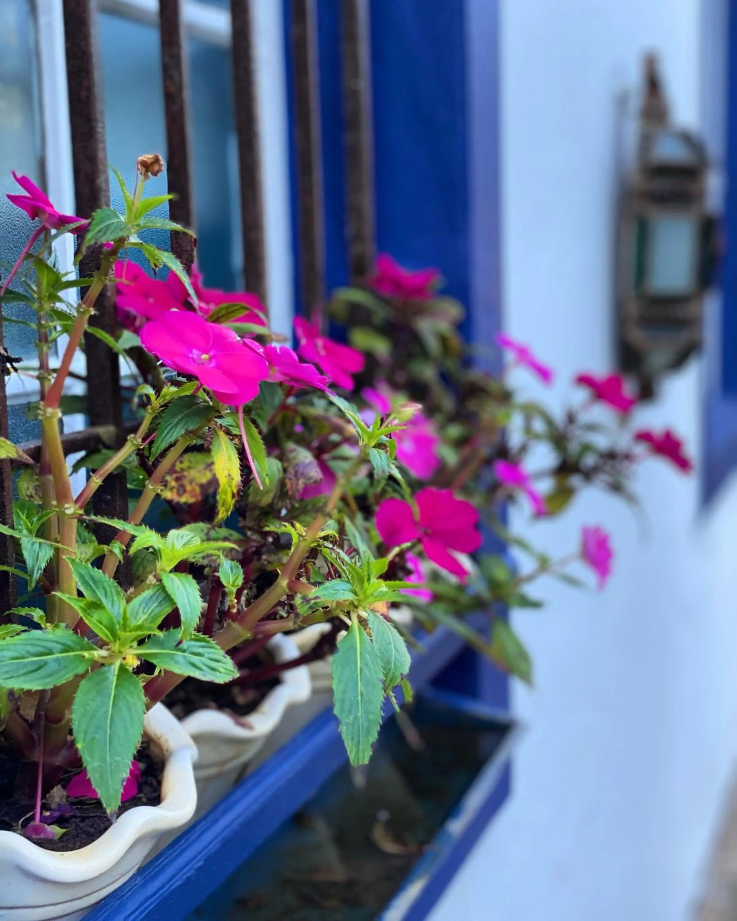 Day in Segredo da Serra Guest House