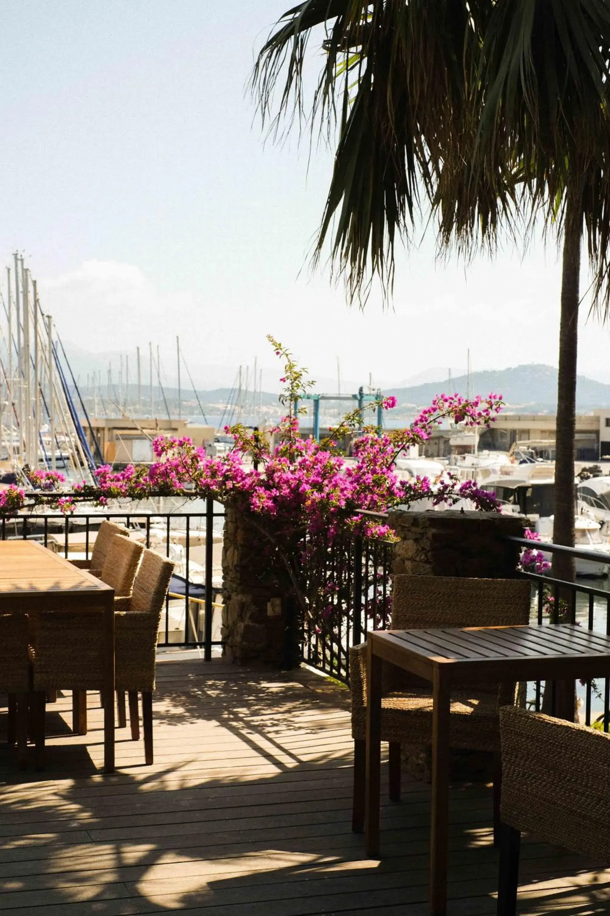 Restaurant/places to eat in Hôtel Helios & SPA - Ile des Embiez Restaurant/places to eat in Hôtel Helios & SPA - Ile des Embiez