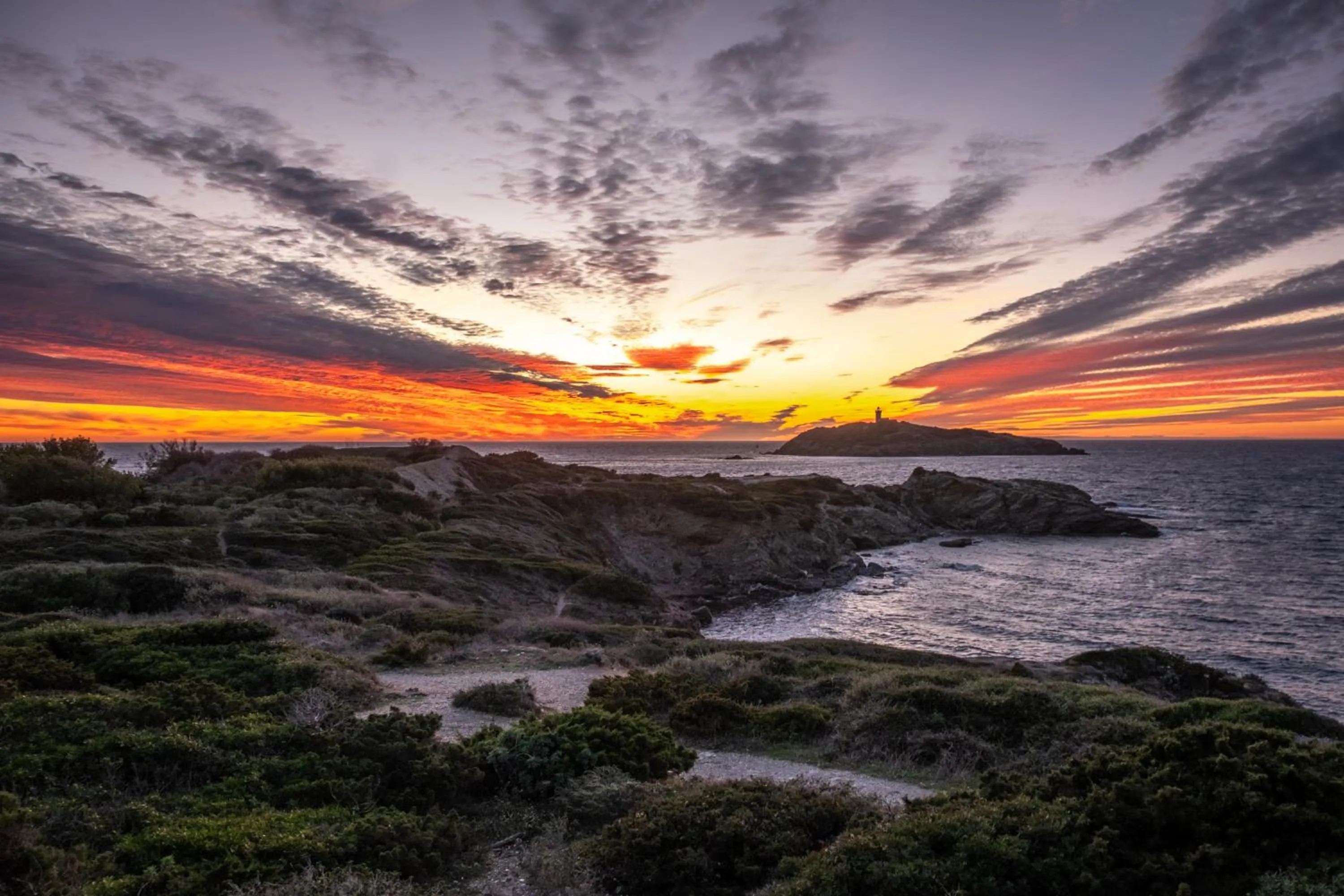 Natural landscape in Hôtel Helios & SPA - Ile des Embiez
