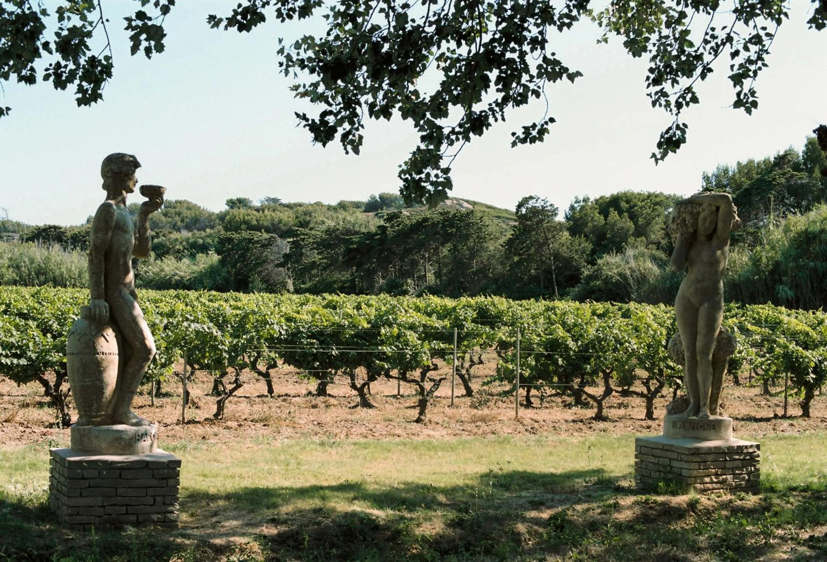 Natural landscape in Hôtel Helios & SPA - Ile des Embiez