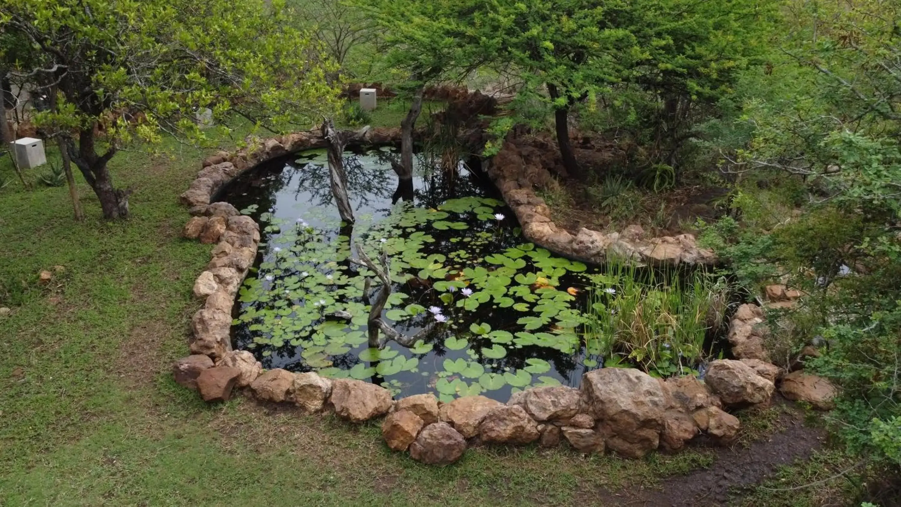 Garden view in Leopard Mountain Safari Lodge Garden view in Leopard Mountain Safari Lodge
