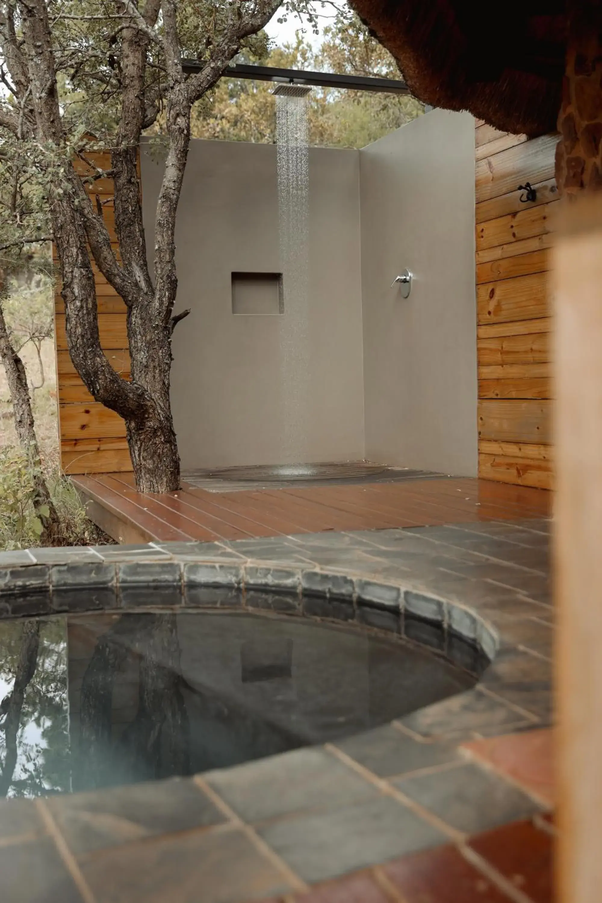 View (from property/room) in Leopard Mountain Safari Lodge View (from property/room) in Leopard Mountain Safari Lodge