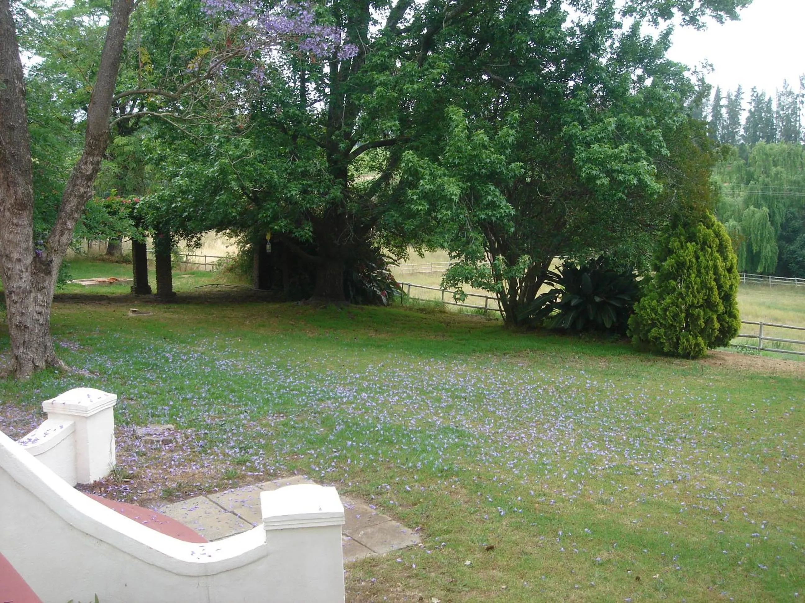 Garden view in Oude Wellington Estate