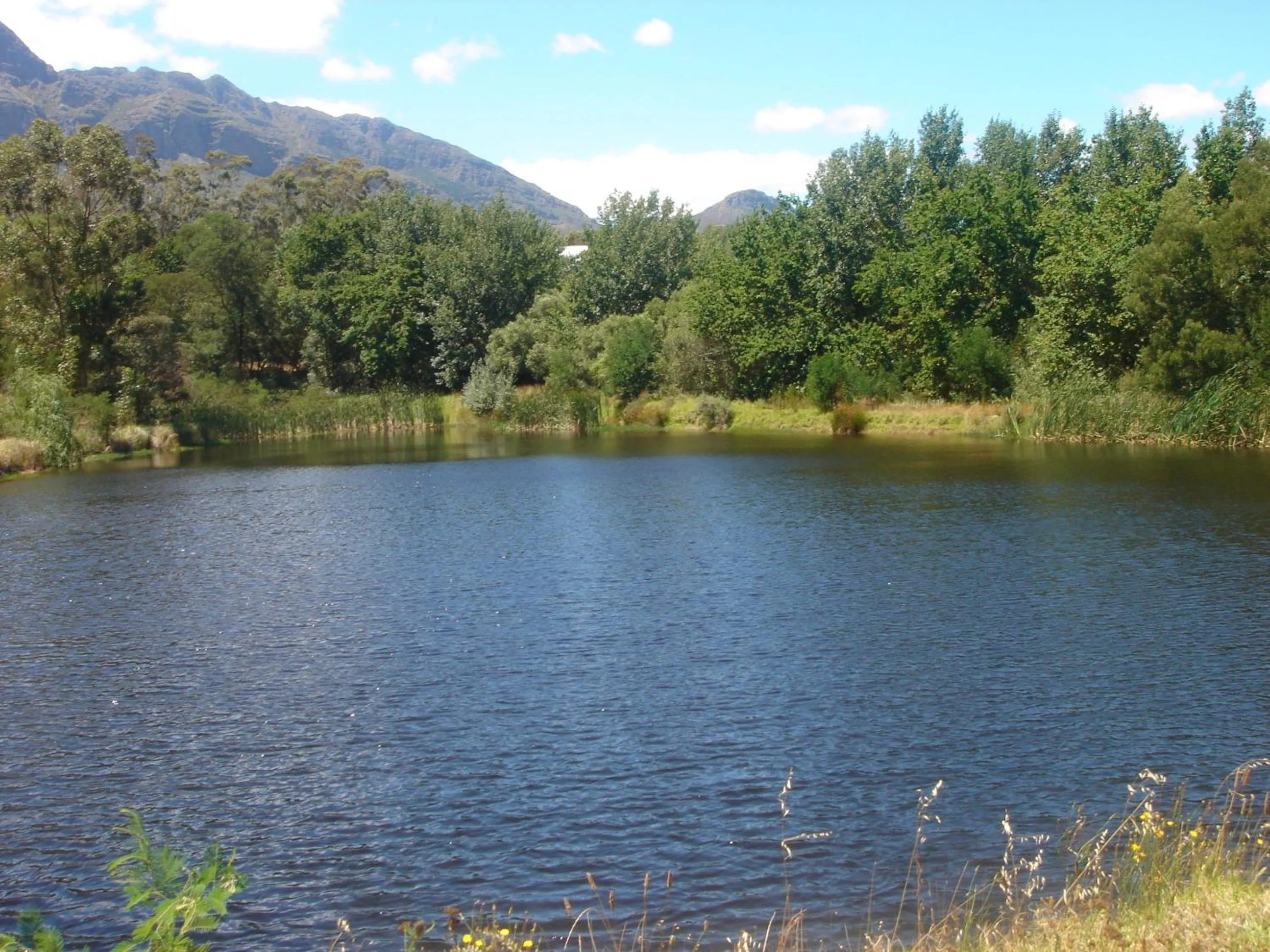 Decorative detail in Oude Wellington Estate