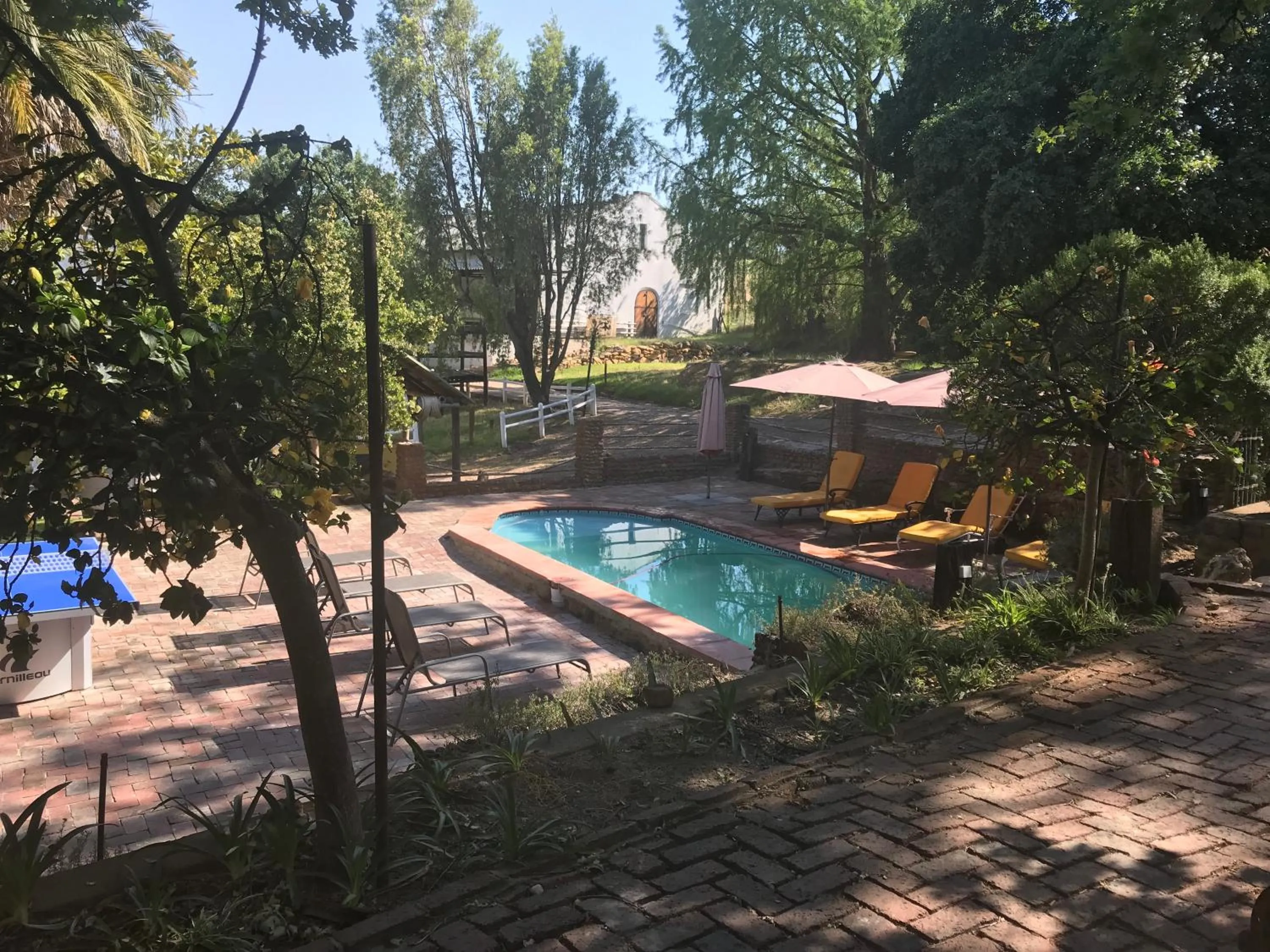 Swimming pool in Oude Wellington Estate