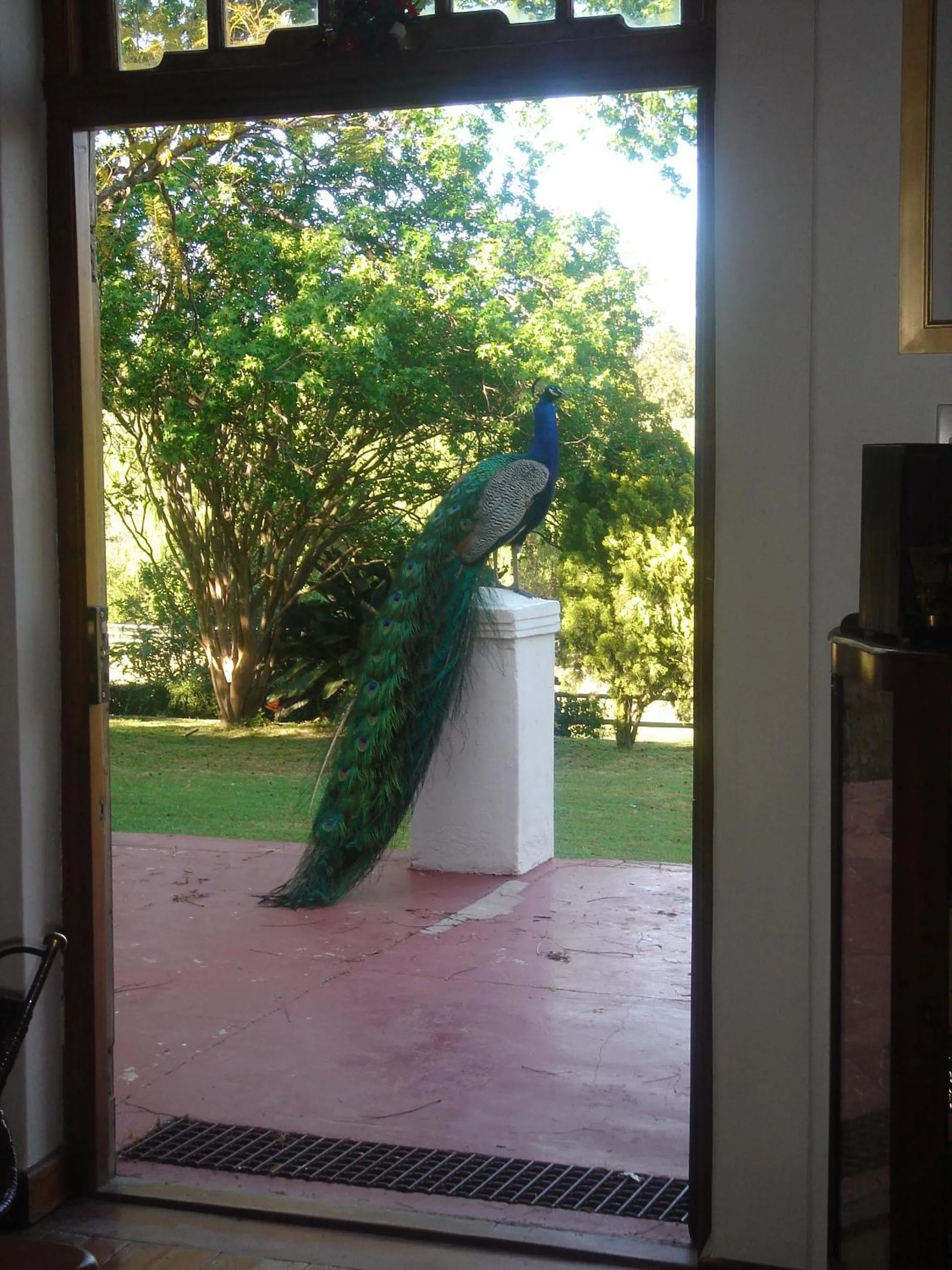 Decorative detail in Oude Wellington Estate