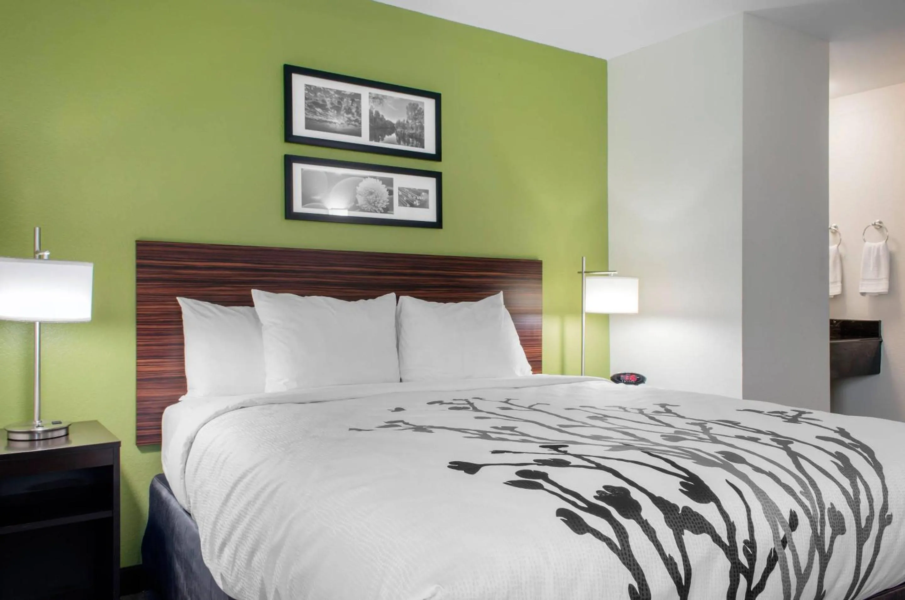 Bedroom, Bed in Sleep Inn Baton Rouge East I-12