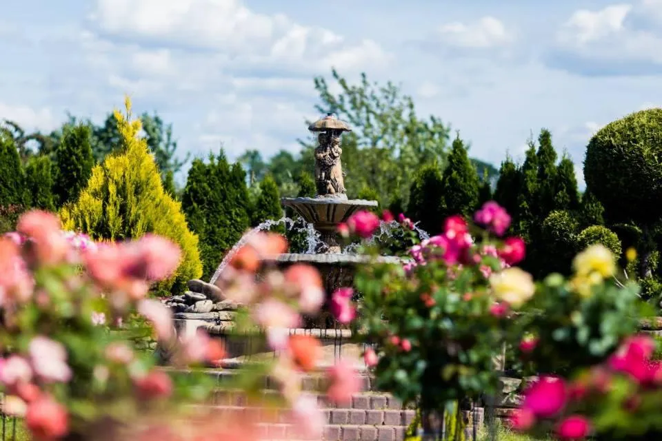Garden in HOTEL LORD