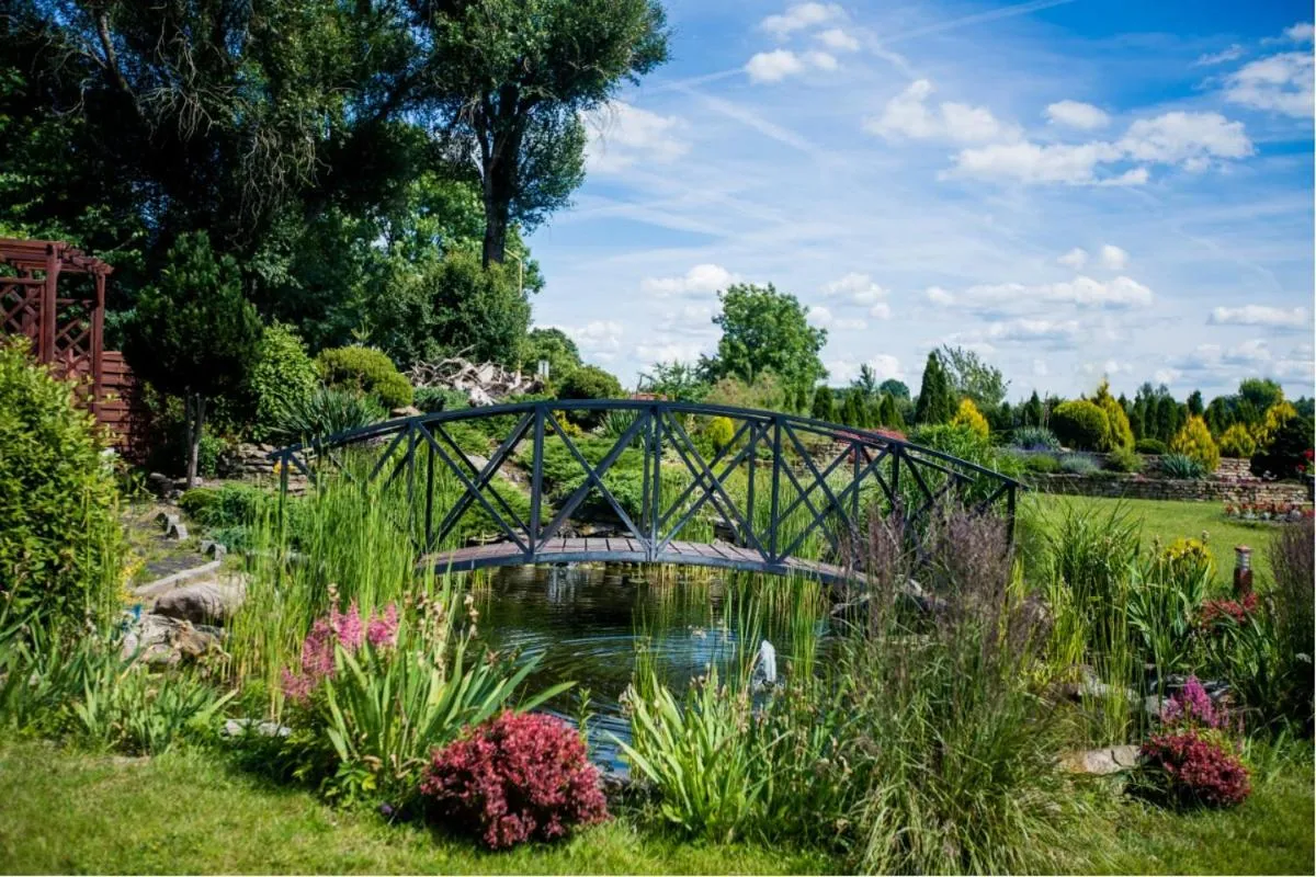 Garden in HOTEL LORD
