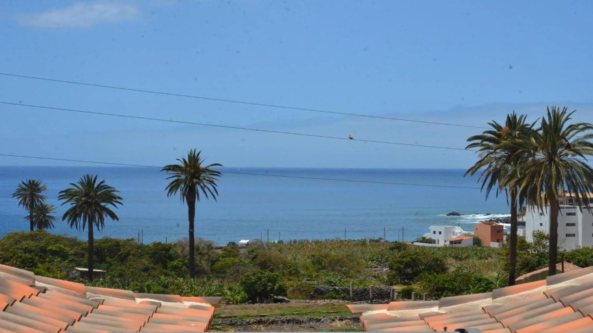 Other in Apt. Heliconia Nº 5