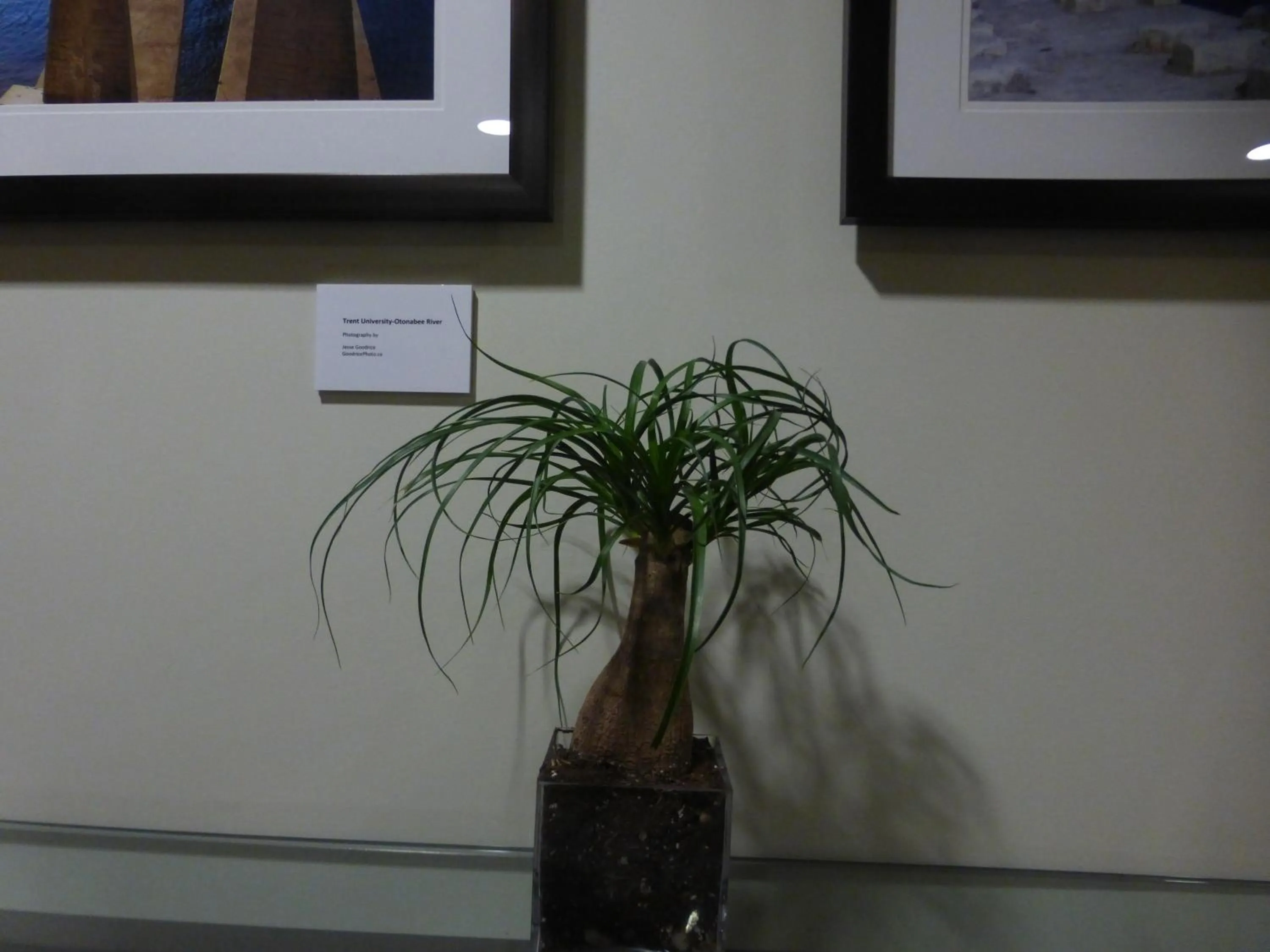 Decorative detail in Super 8 by Wyndham Peterborough